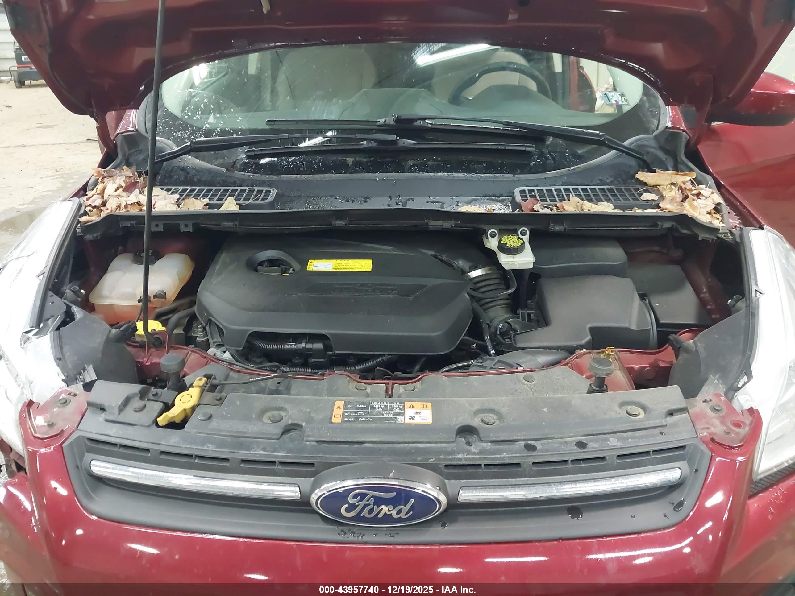 FORD ESCAPE image 10