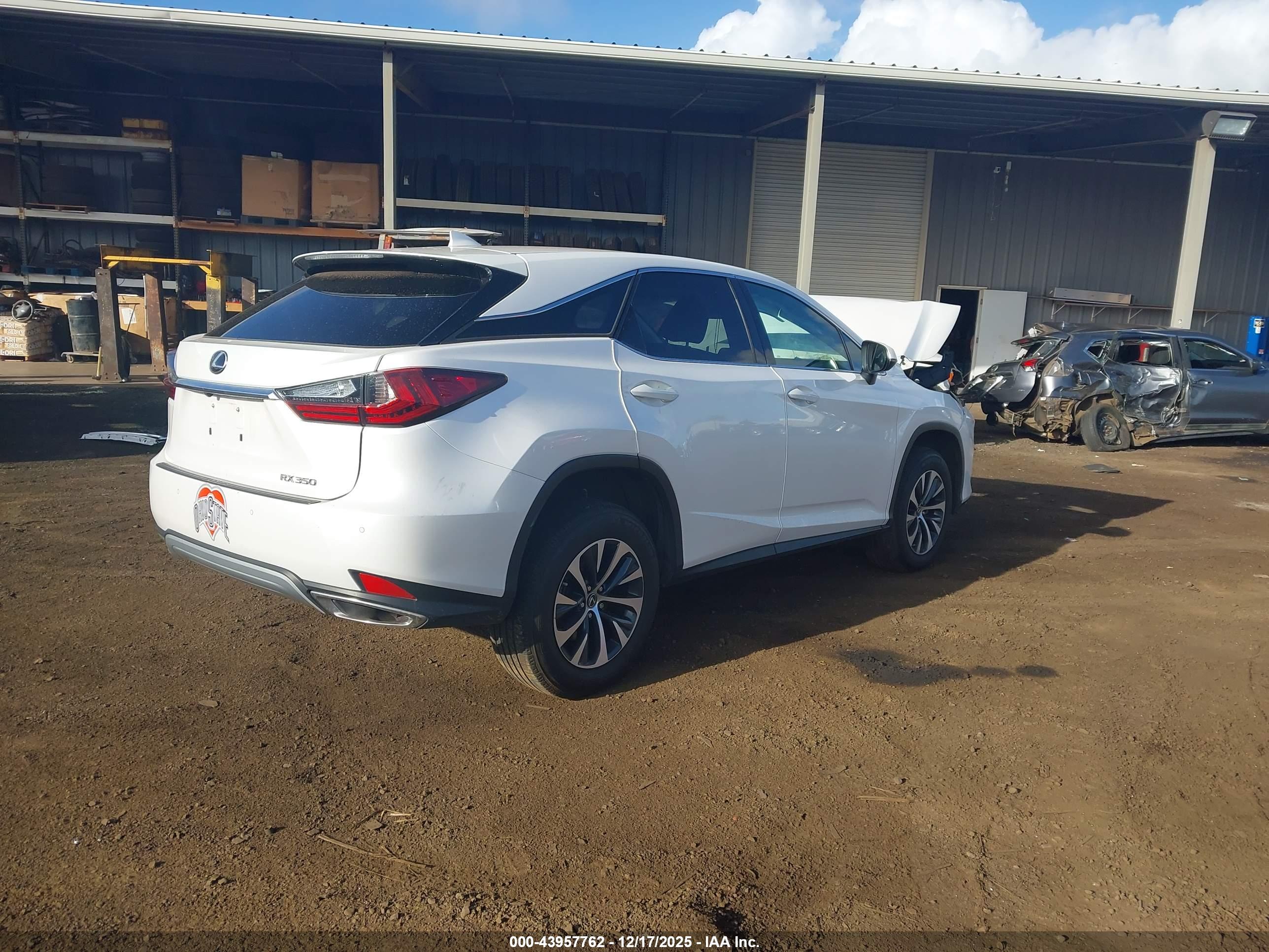LEXUS RX image 4