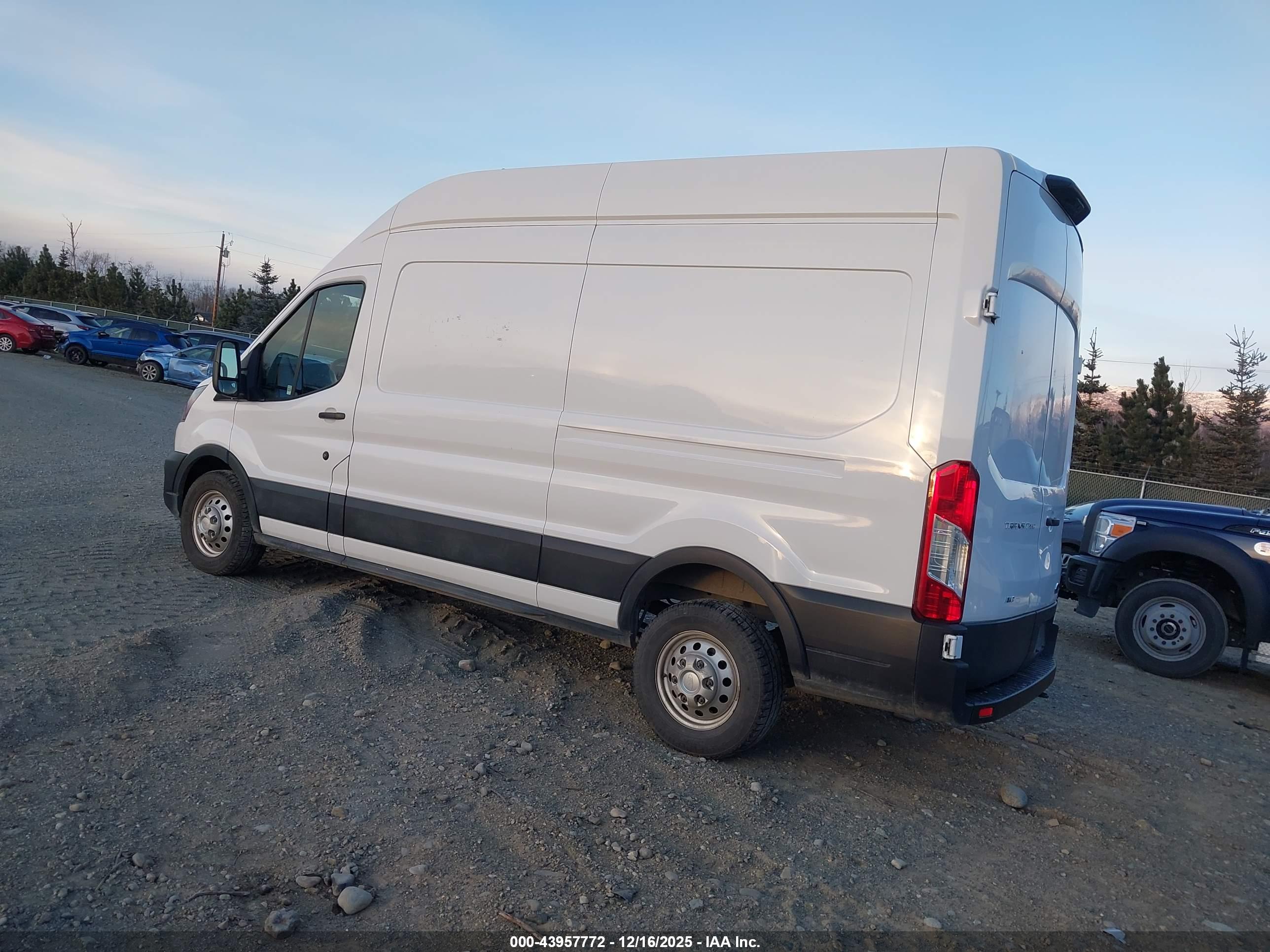 FORD TRANSIT-250 image 3