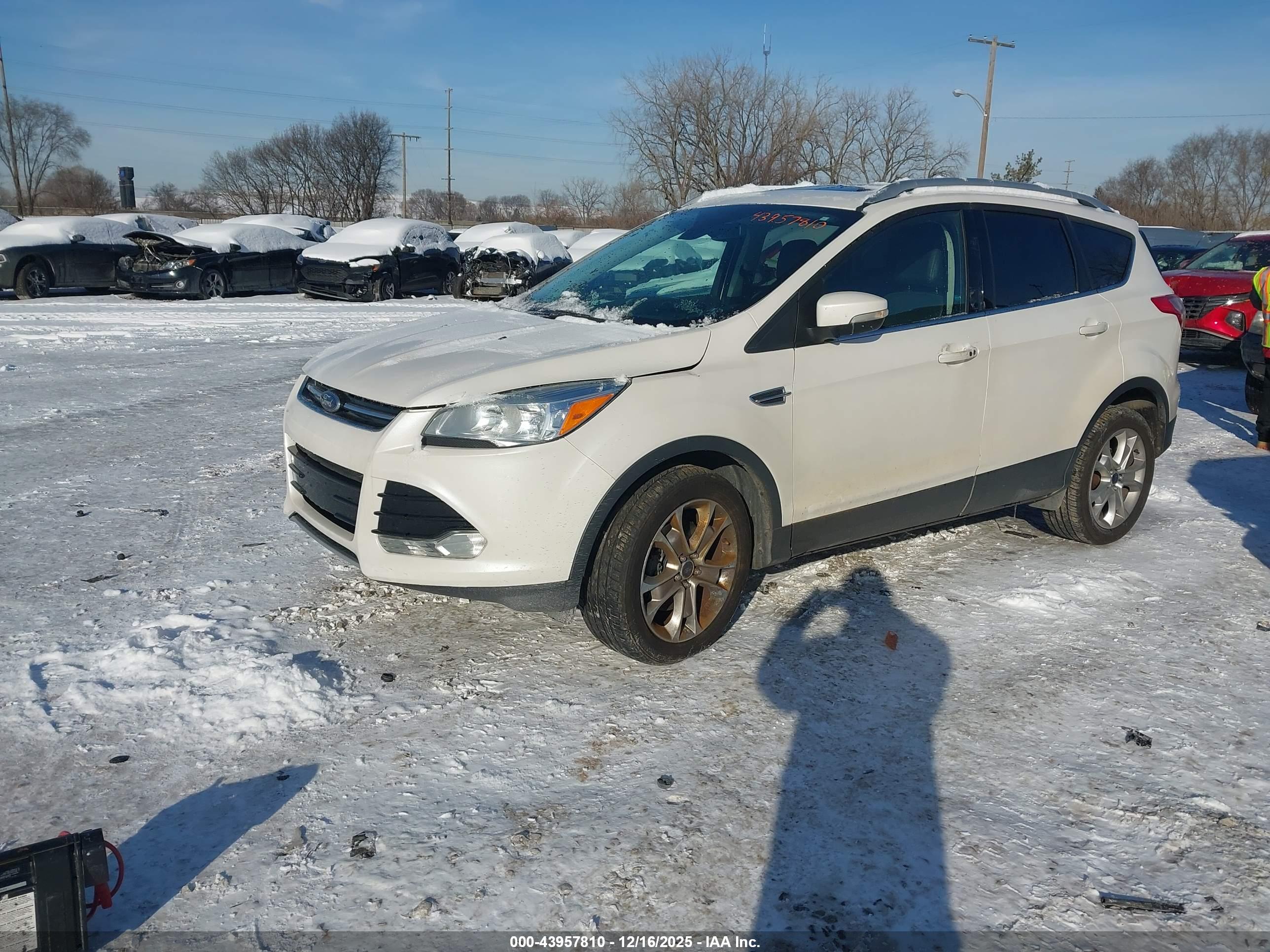 FORD ESCAPE image 2