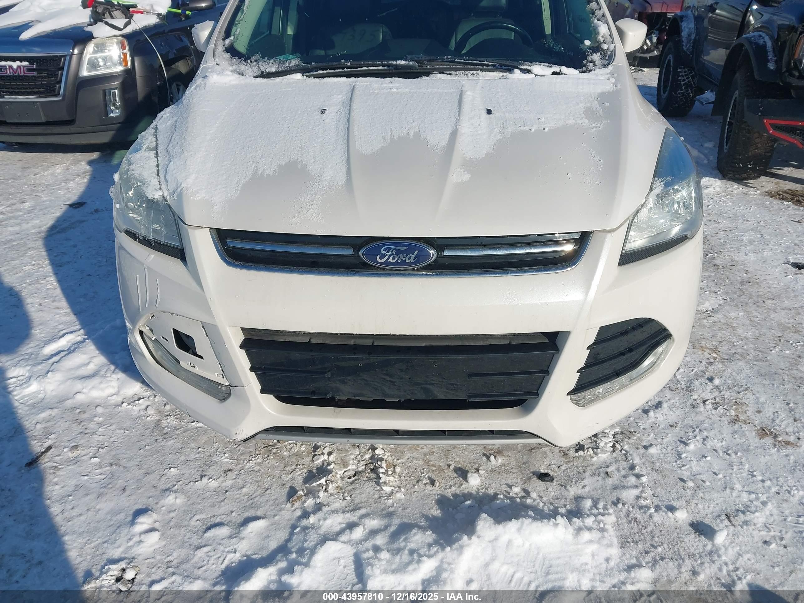 FORD ESCAPE image 6