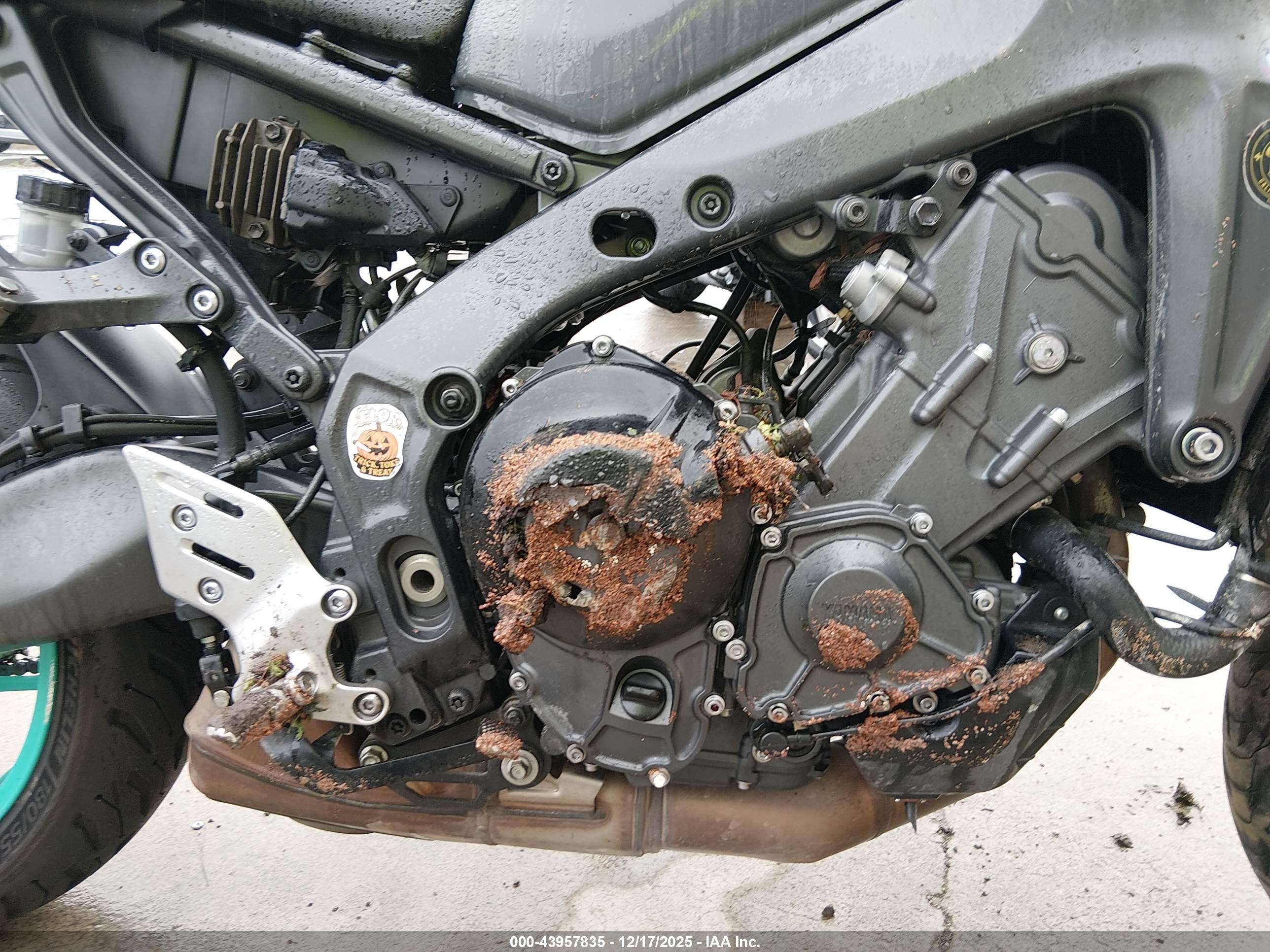 YAMAHA MT09 image 8