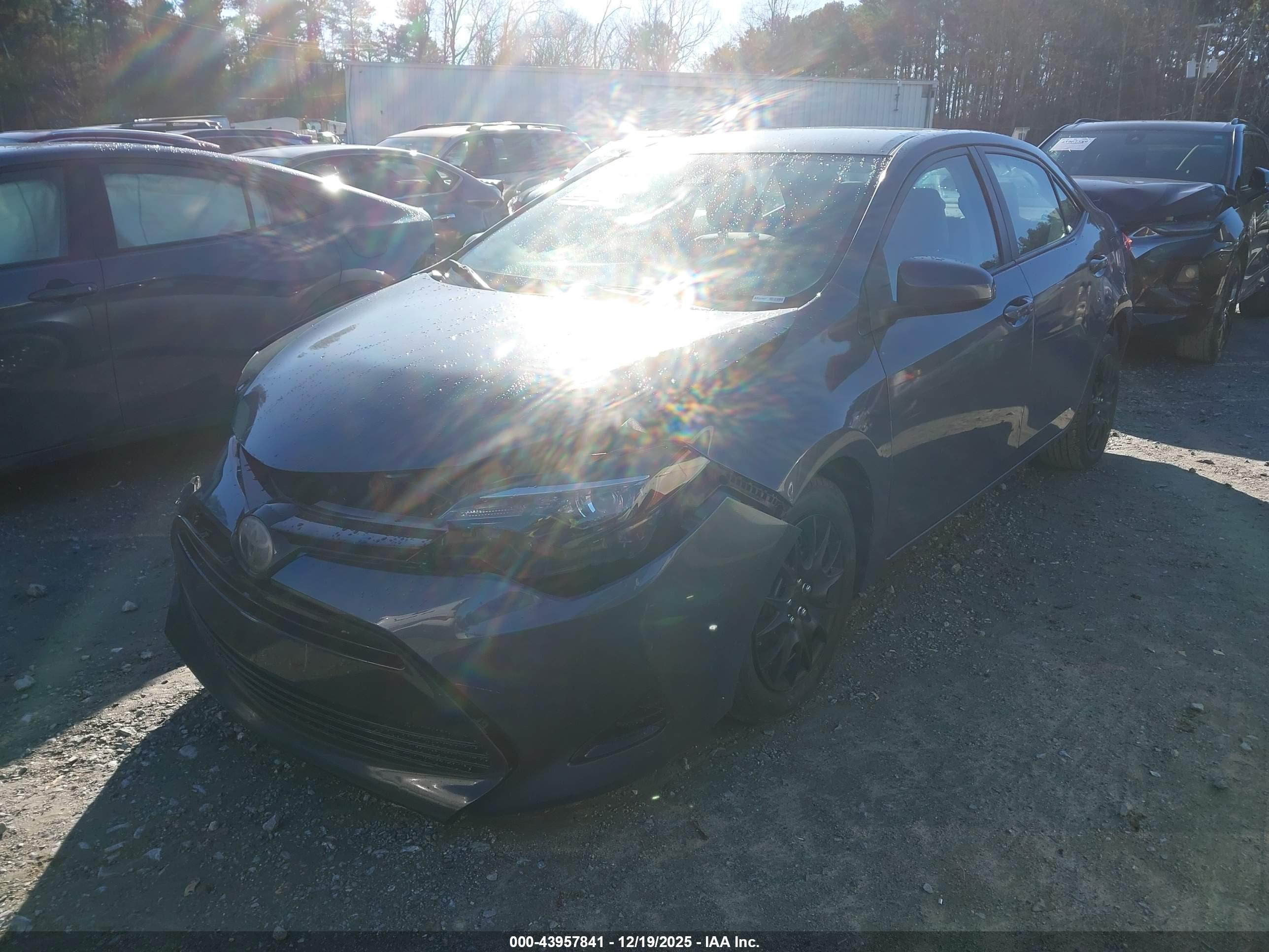 TOYOTA COROLLA image 2
