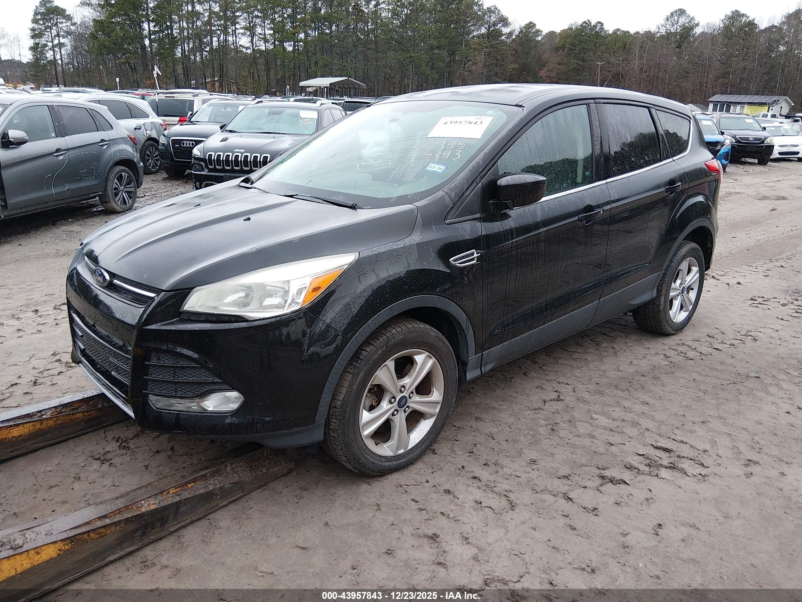 FORD ESCAPE image 2