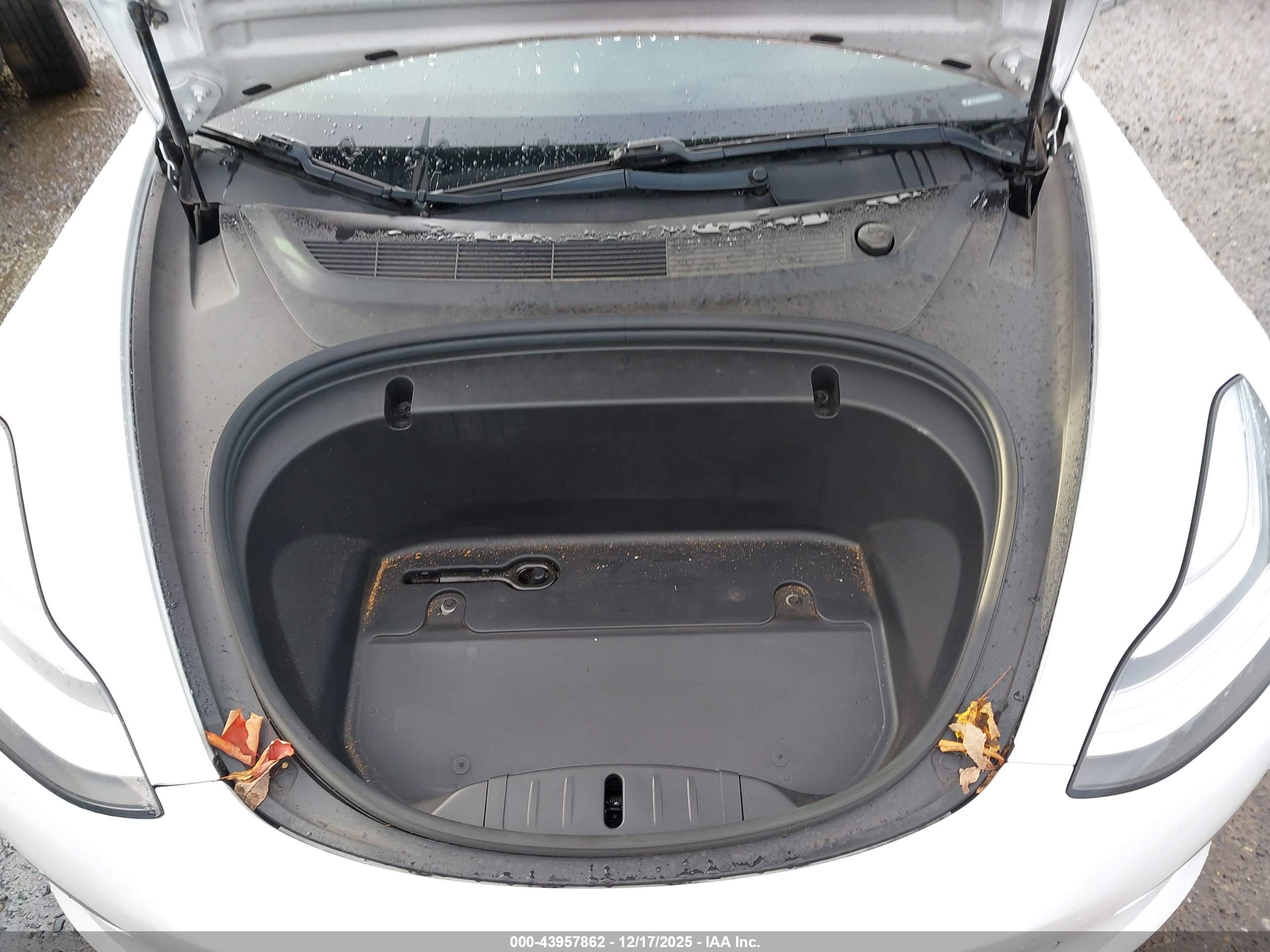 TESLA MODEL image 10