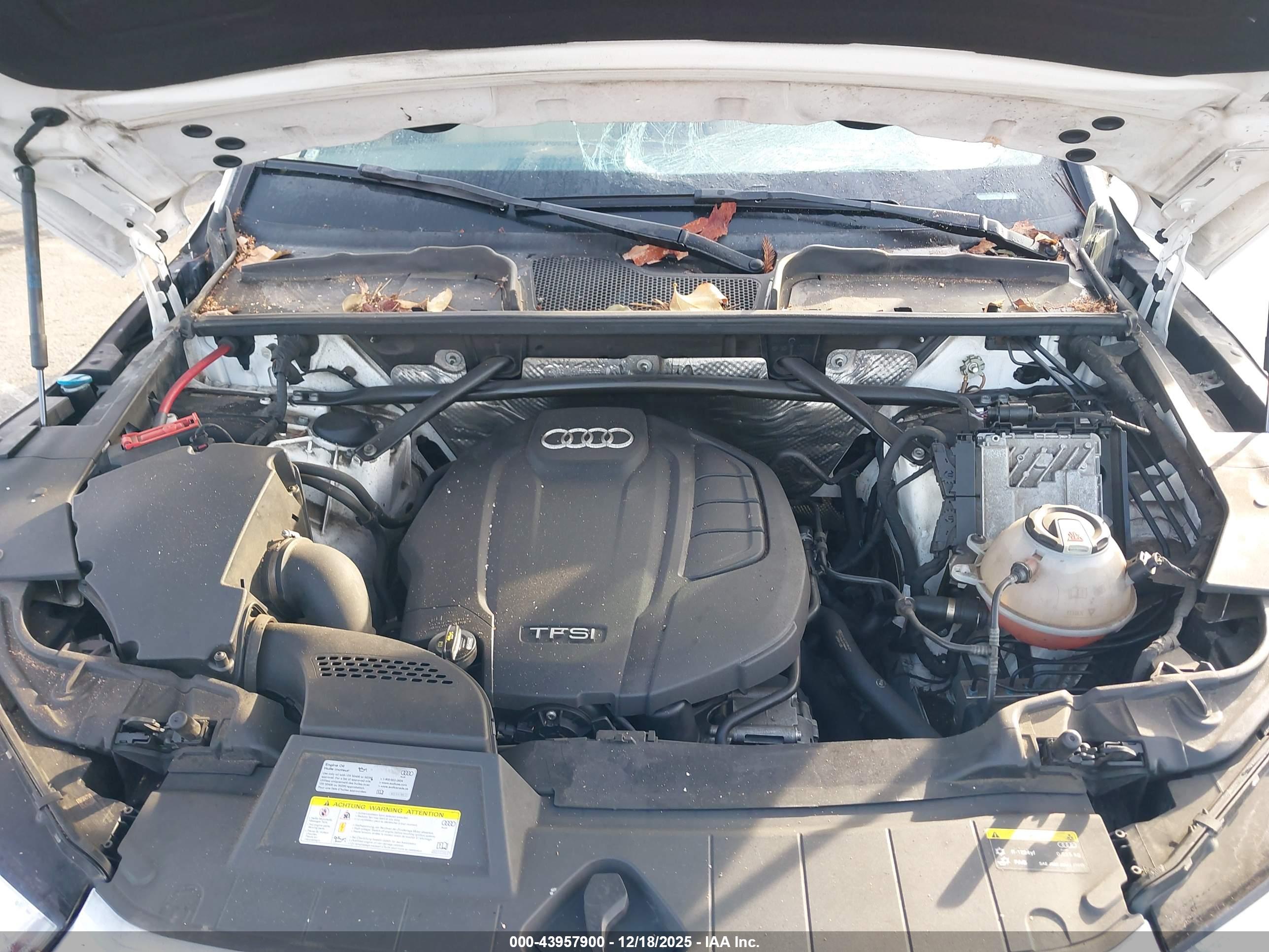 AUDI Q5 image 10