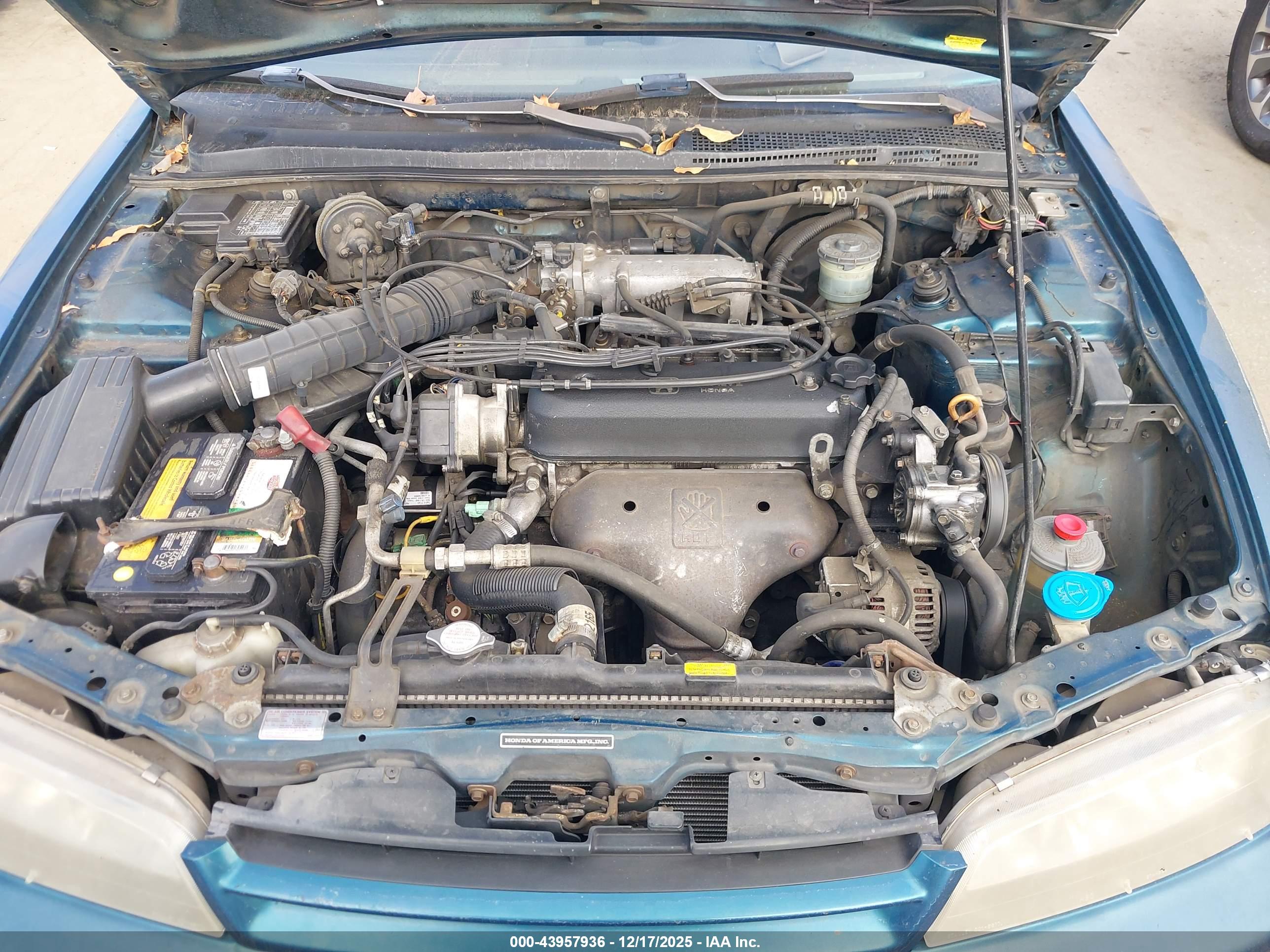 HONDA ACCORD image 10