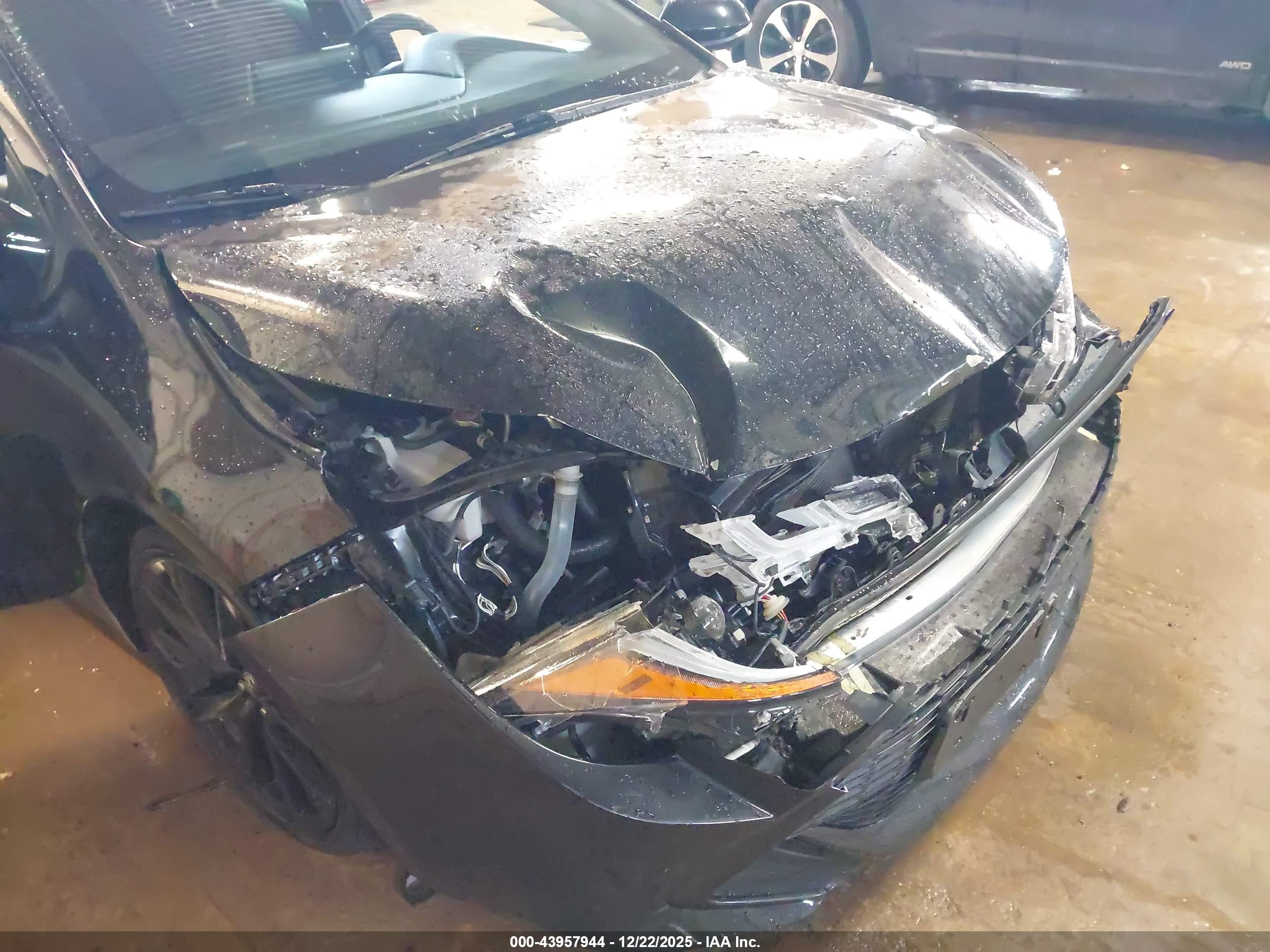 TOYOTA COROLLA image 6