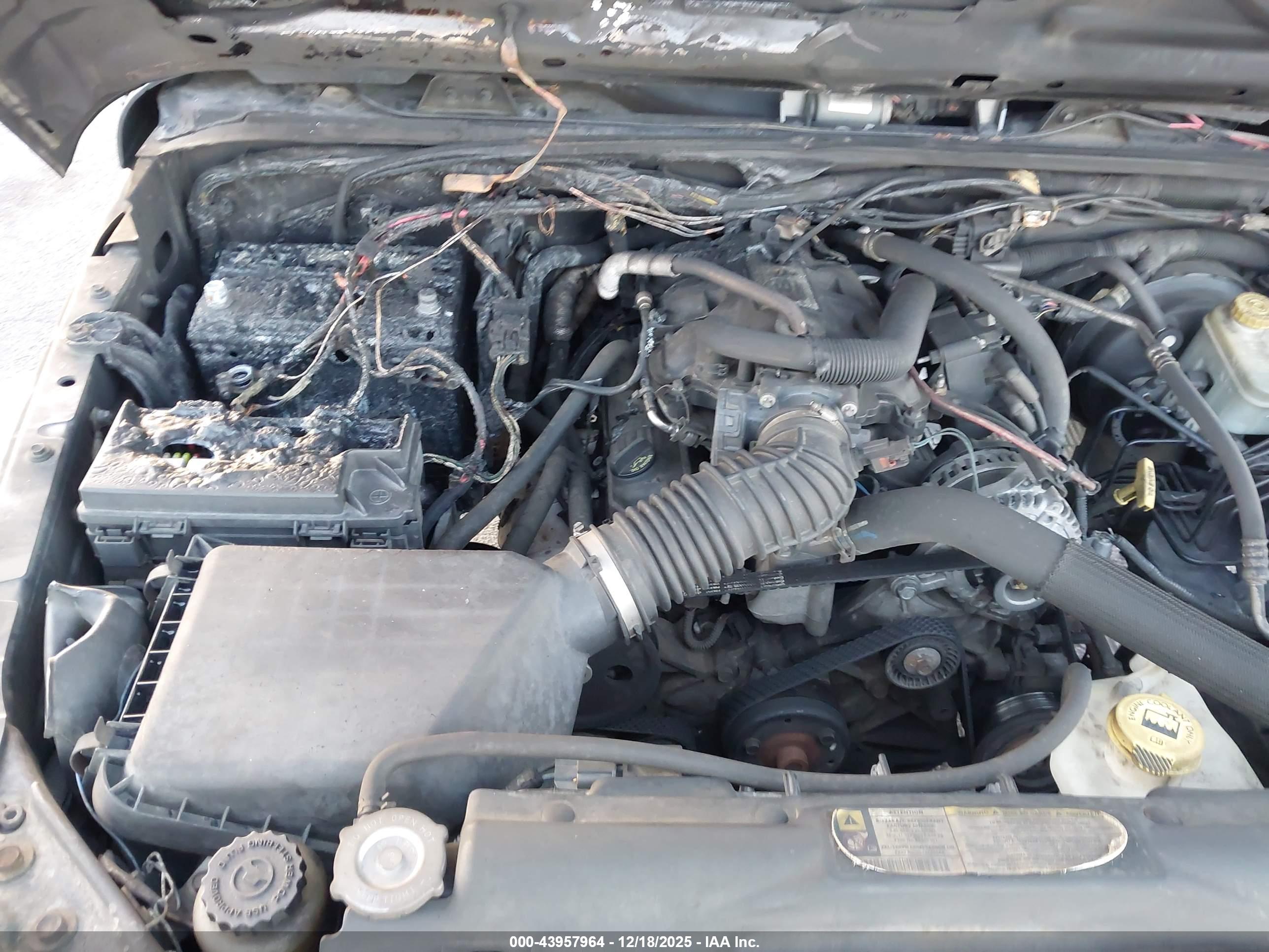 JEEP WRANGLER image 6