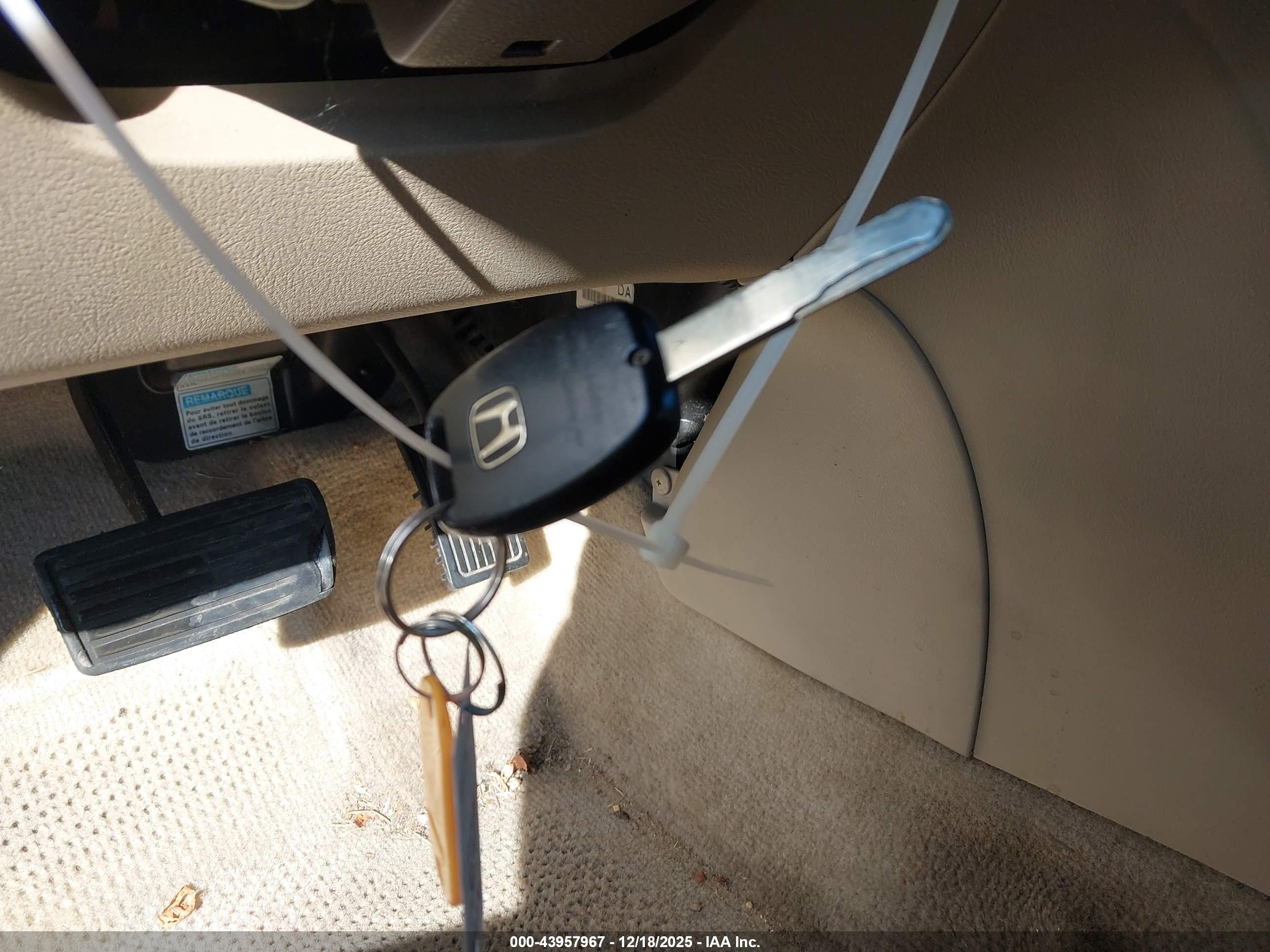 HONDA ACCORD image 11