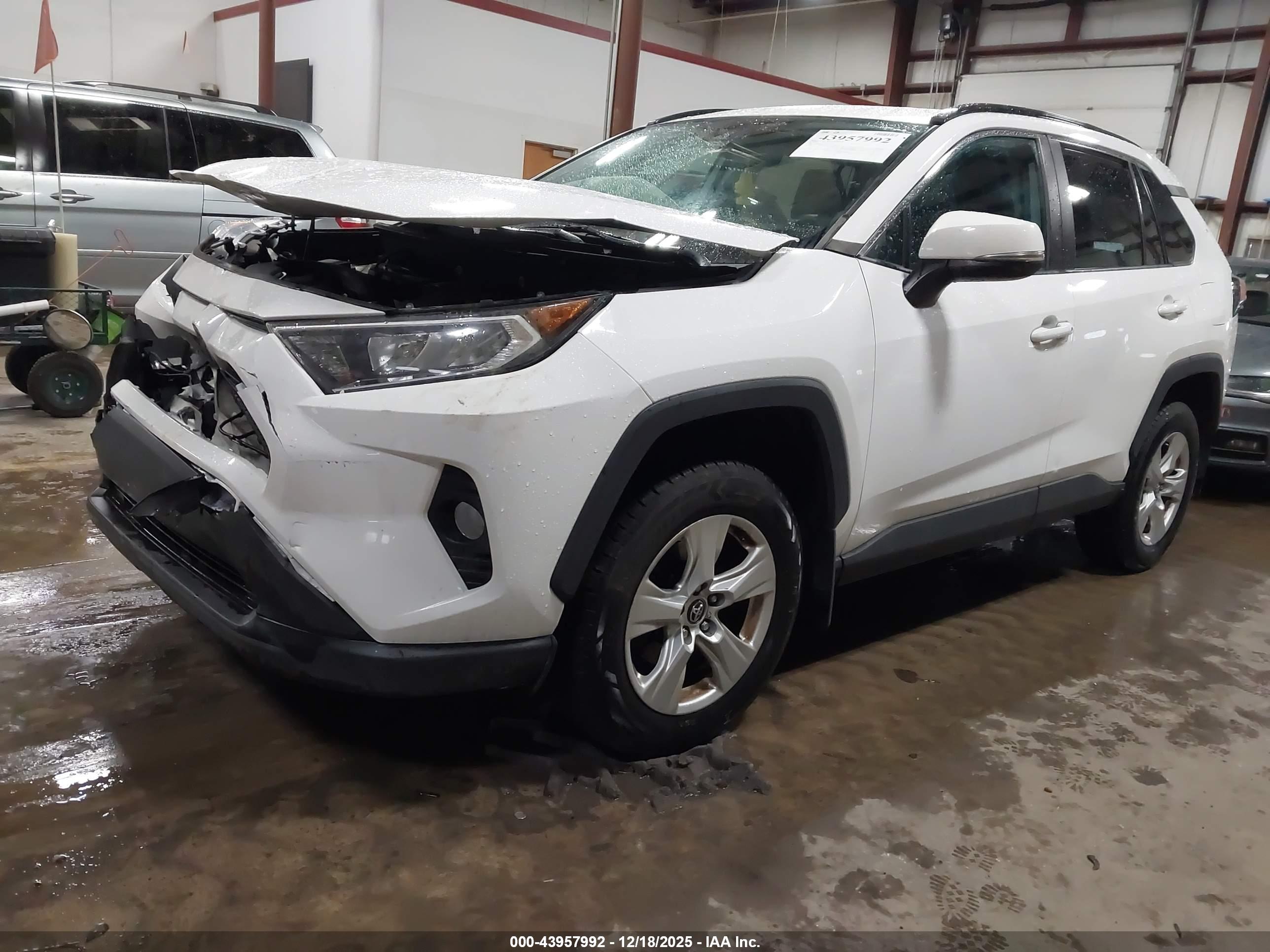TOYOTA RAV4 image 2