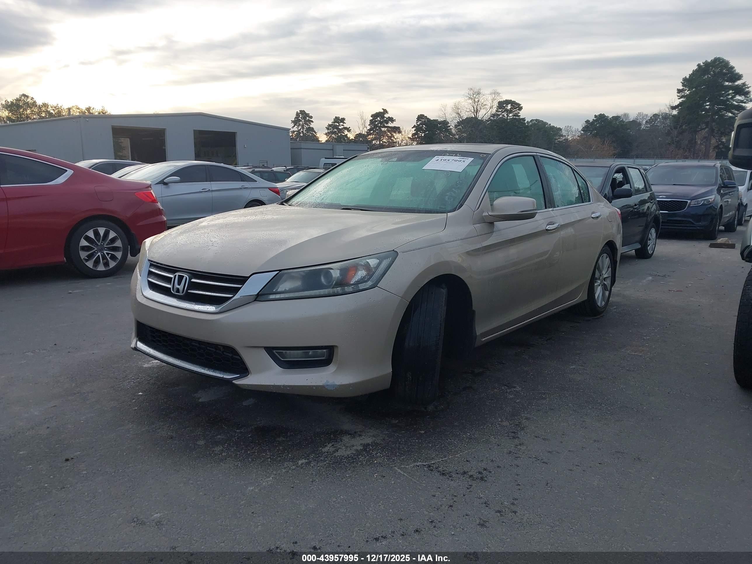 HONDA ACCORD image 2