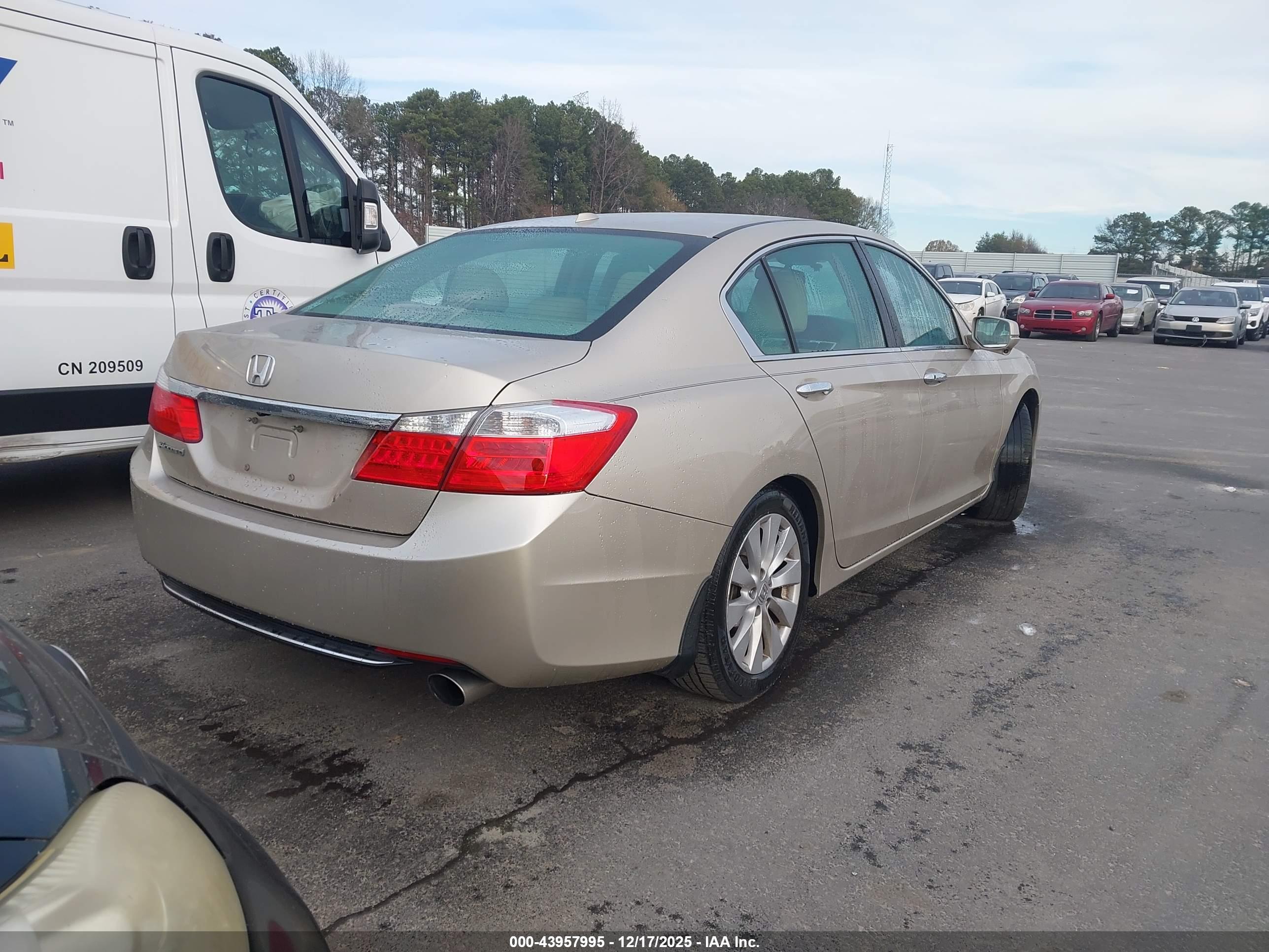 HONDA ACCORD image 4
