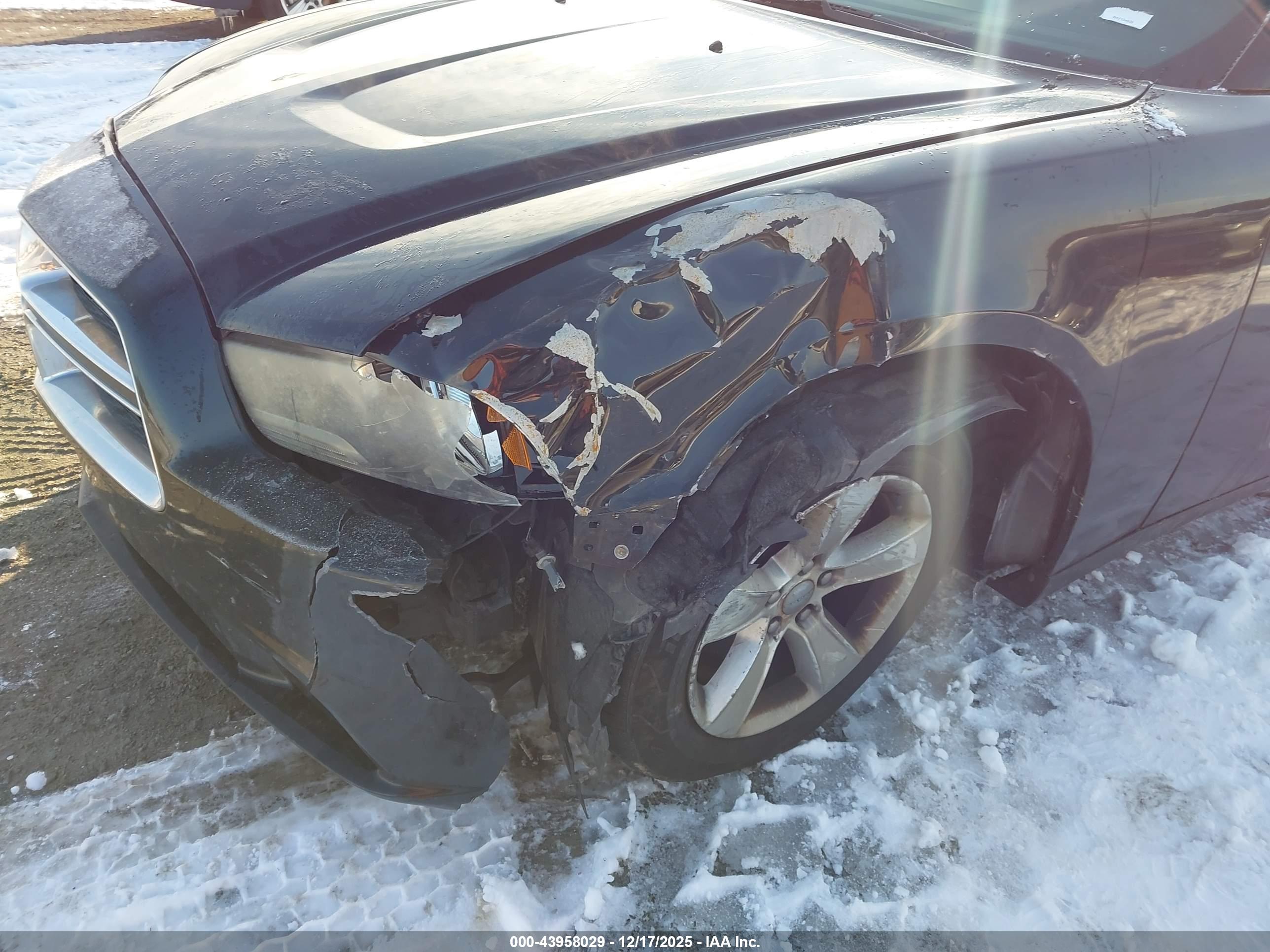DODGE CHARGER image 6