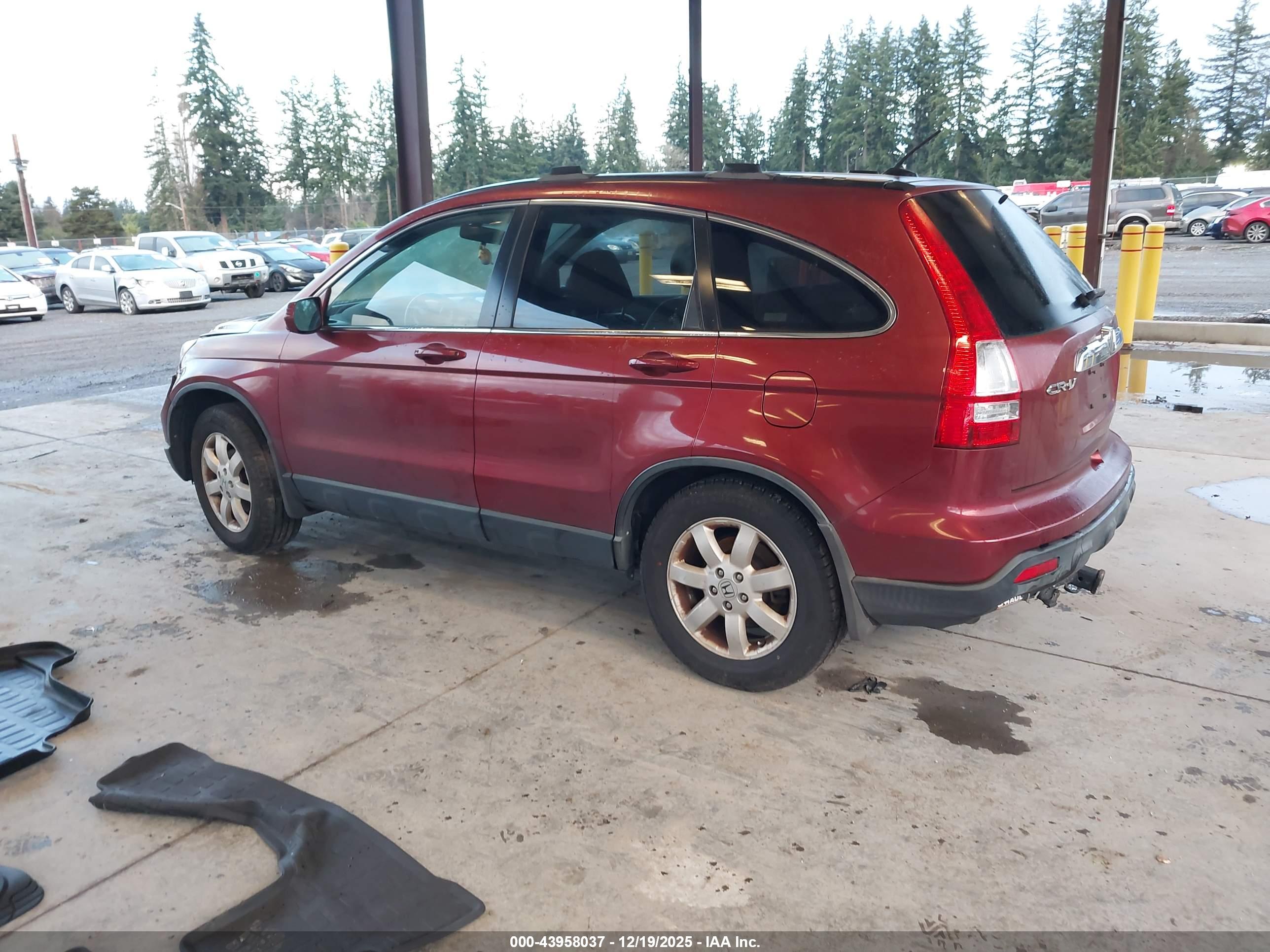 HONDA CR-V image 3