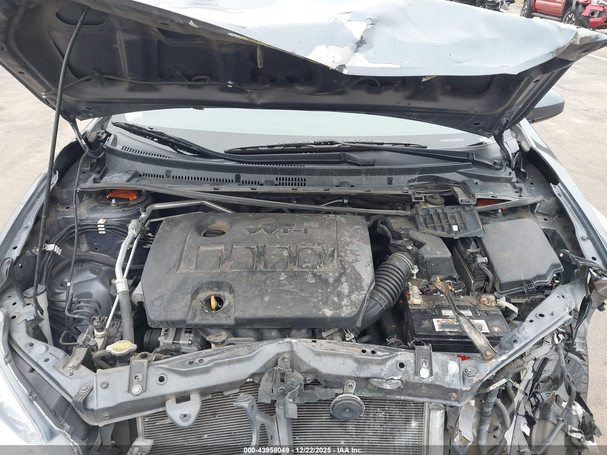 TOYOTA COROLLA image 10