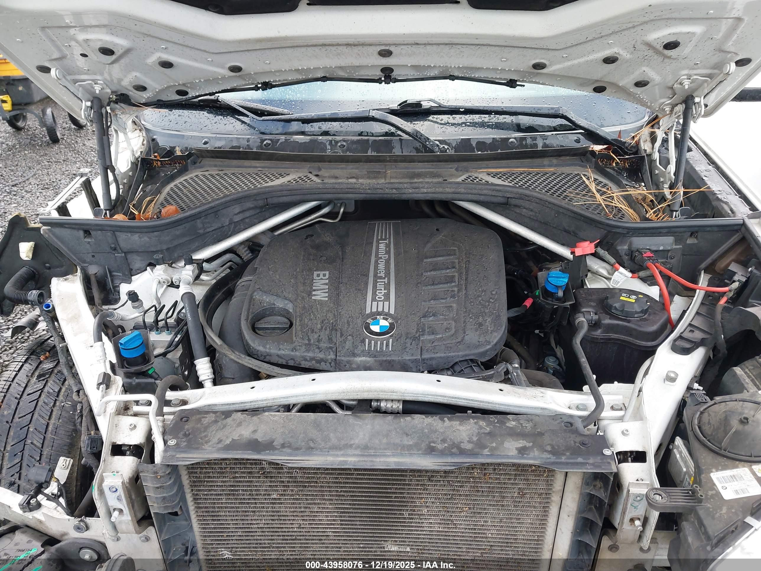 BMW X5 image 10