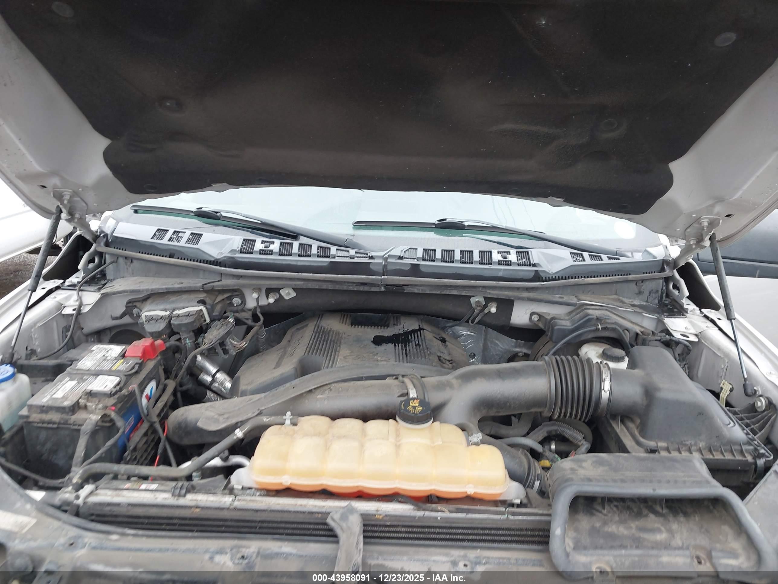 FORD F-150 image 10