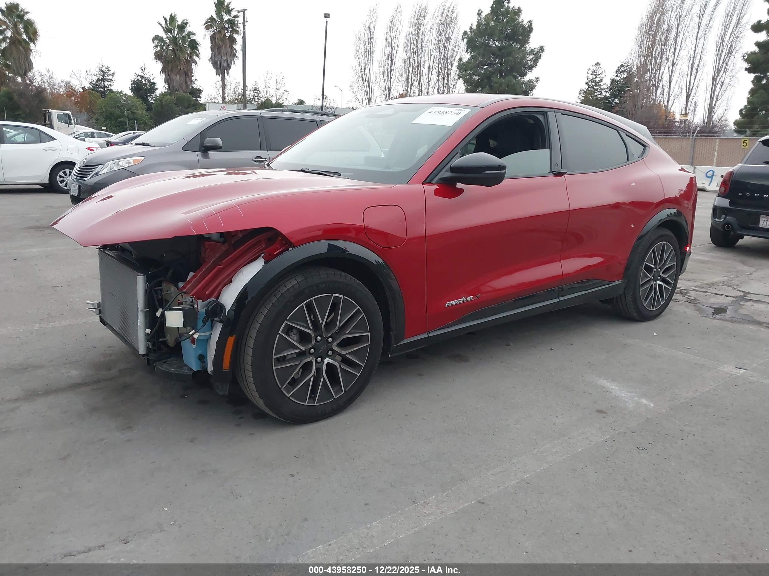 FORD MUSTANG image 2
