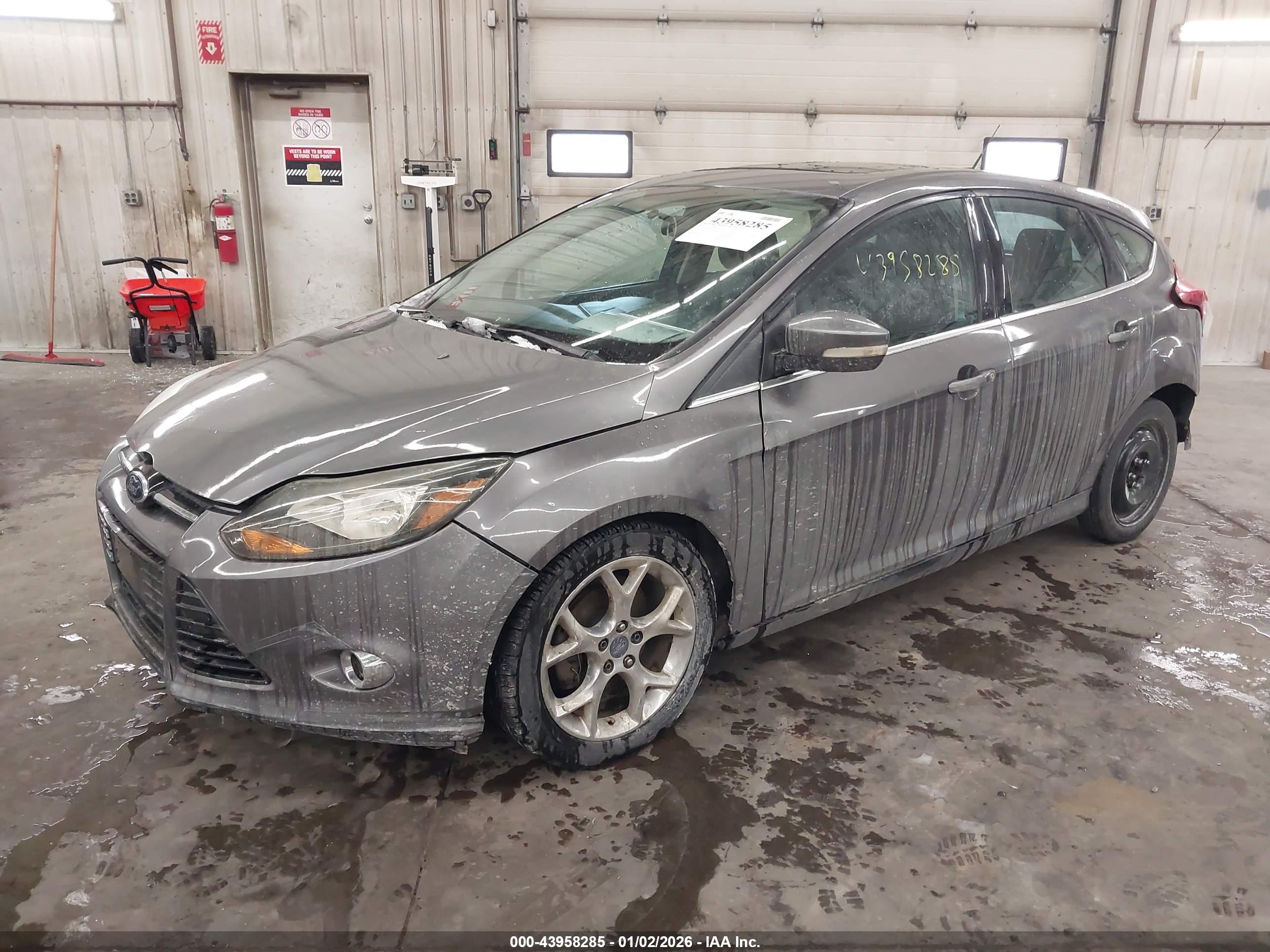 FORD FOCUS image 2