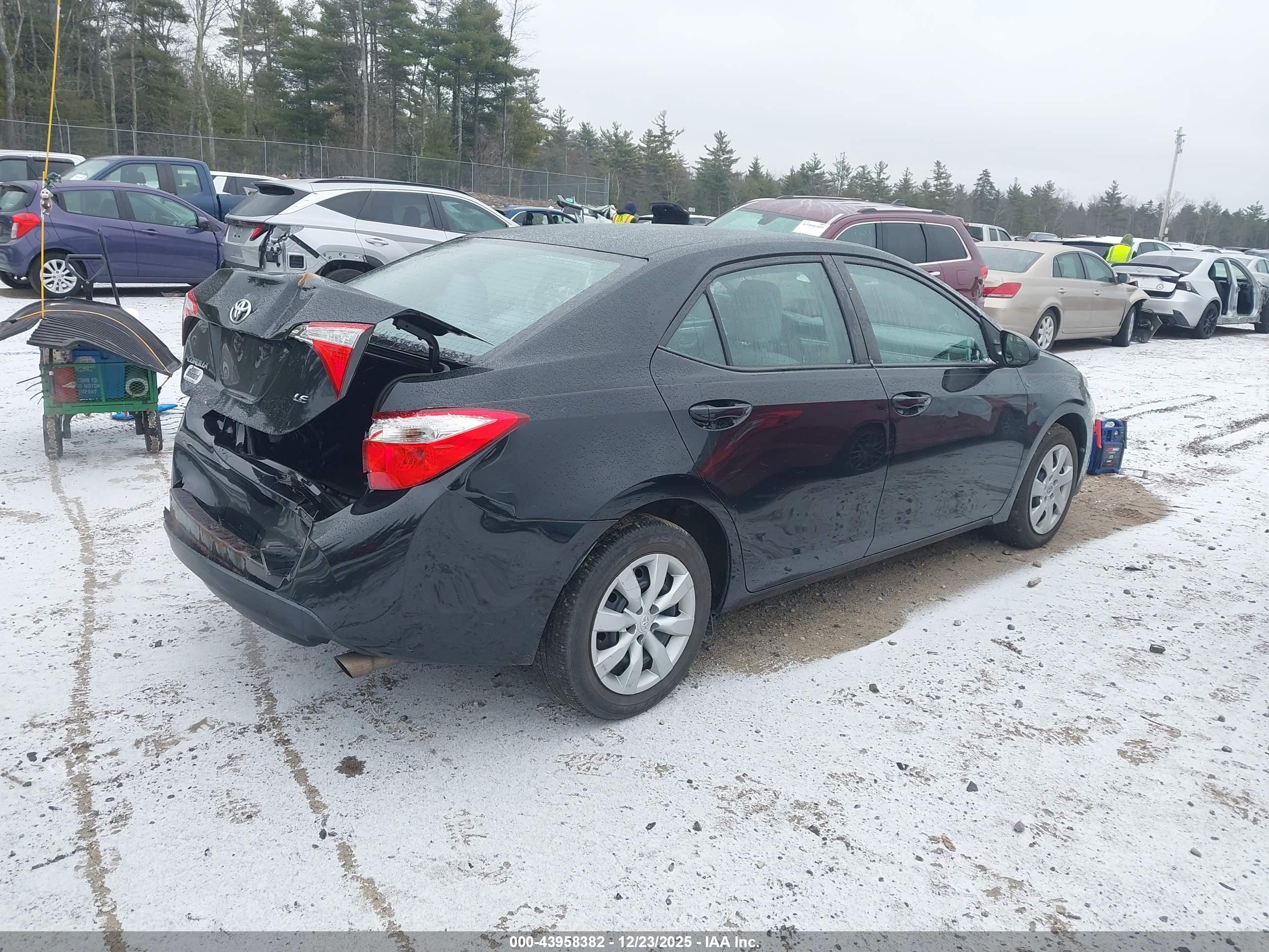 TOYOTA COROLLA image 4