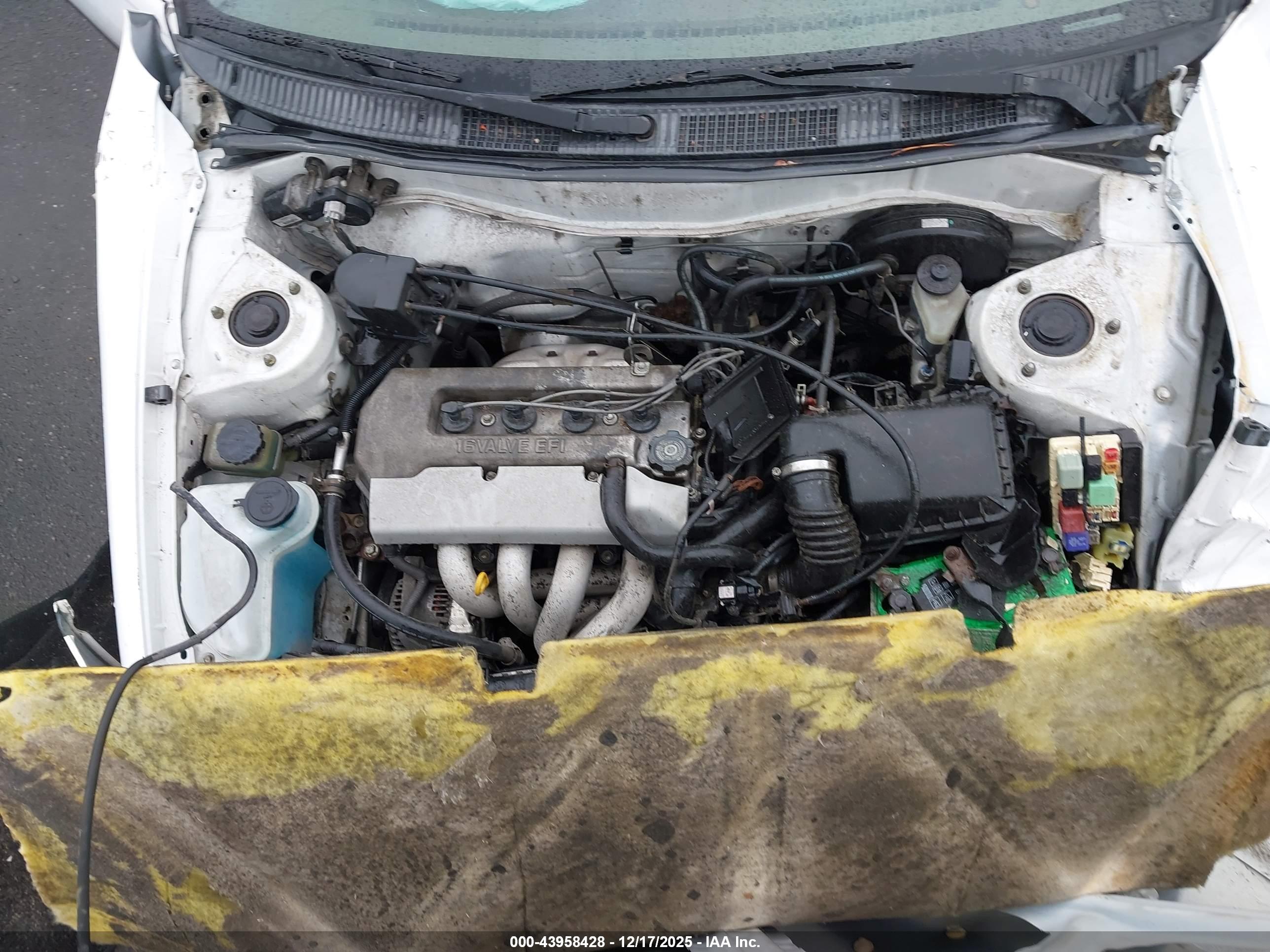 TOYOTA COROLLA image 10
