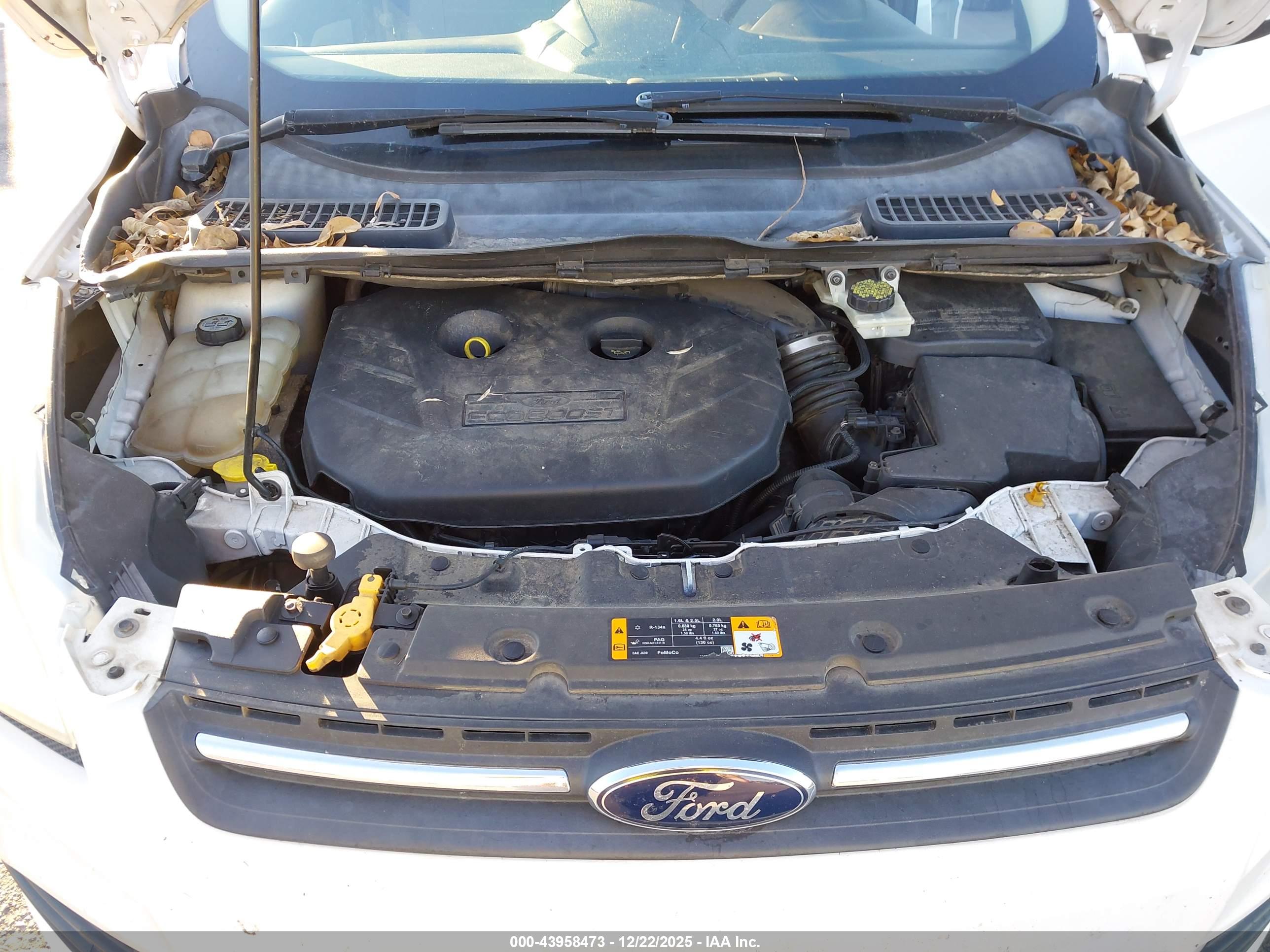 FORD ESCAPE image 10
