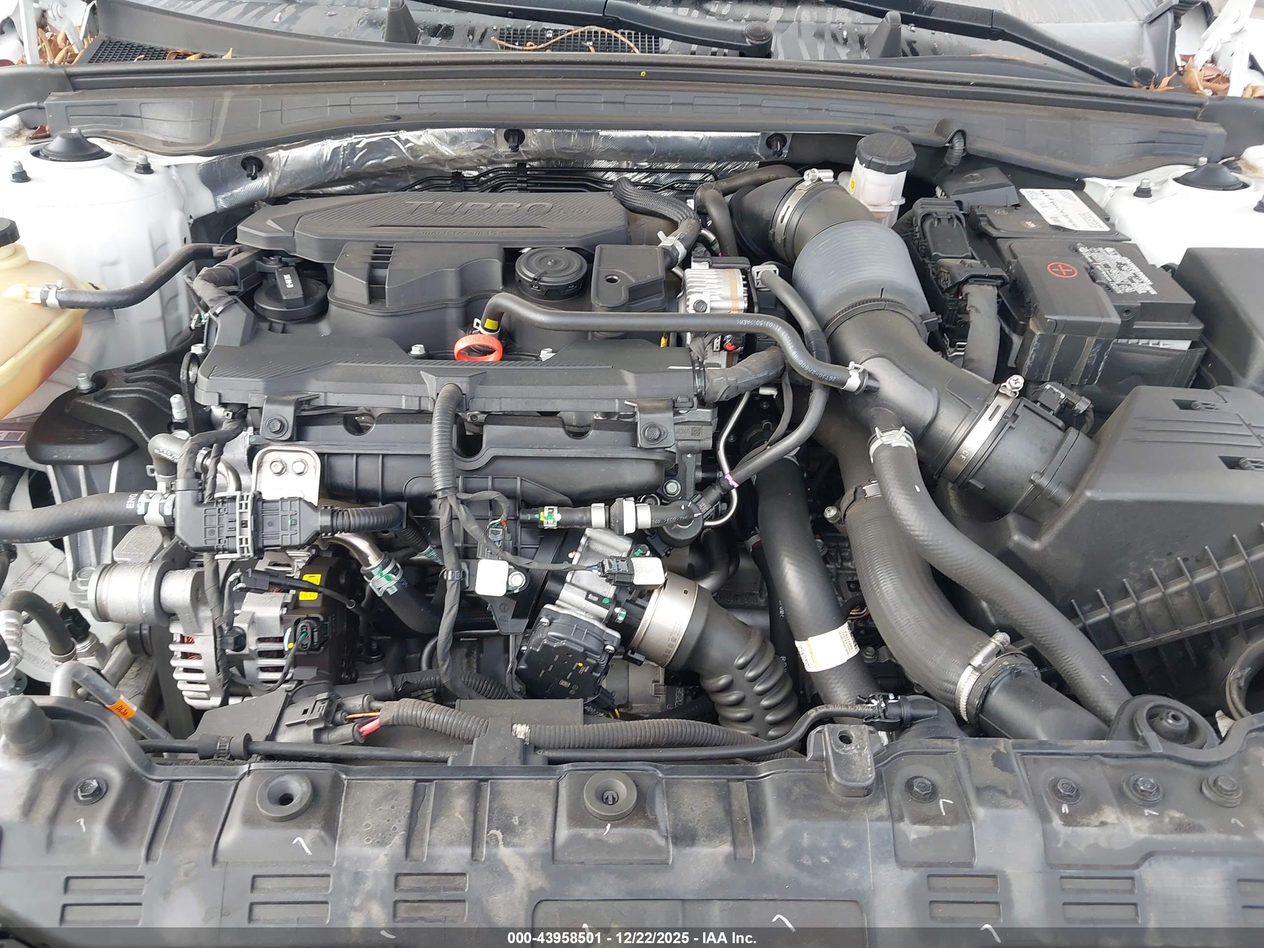 KIA K5 image 10