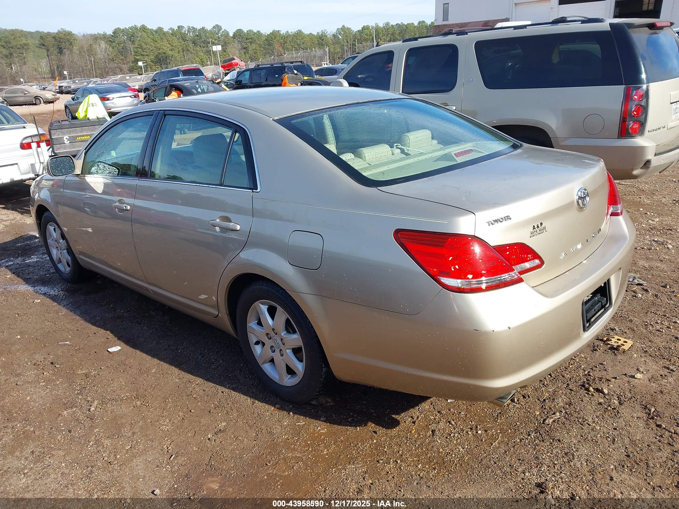 TOYOTA AVALON image 3