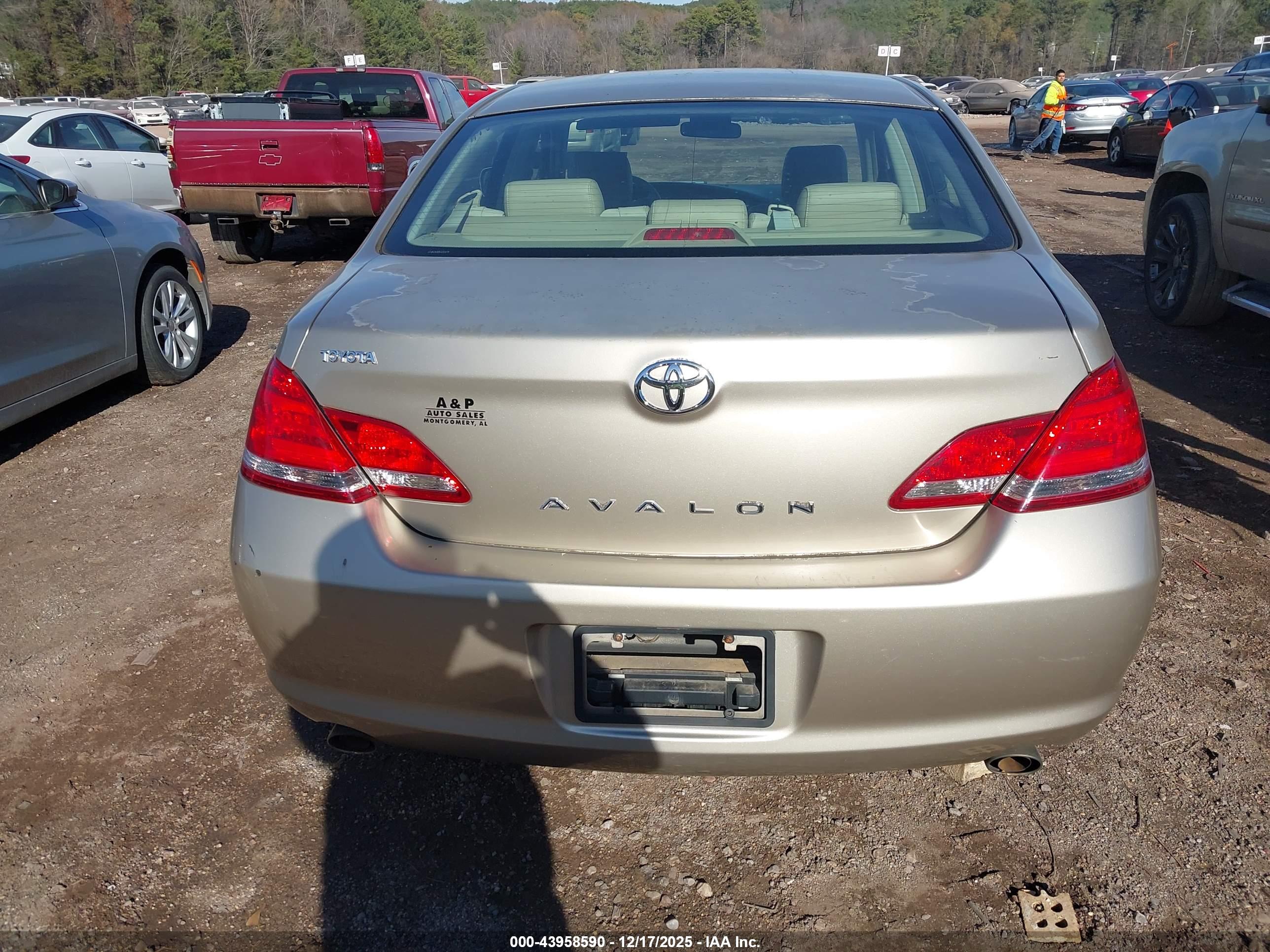 TOYOTA AVALON image 6
