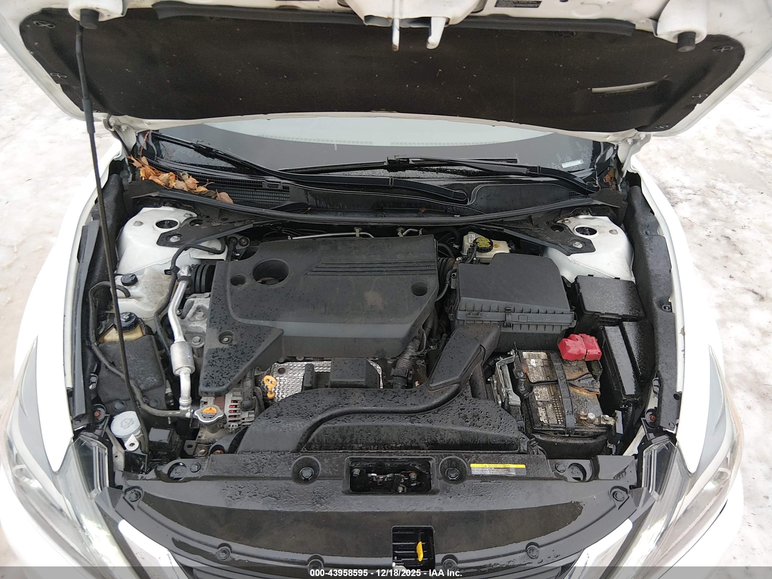 NISSAN ALTIMA image 10
