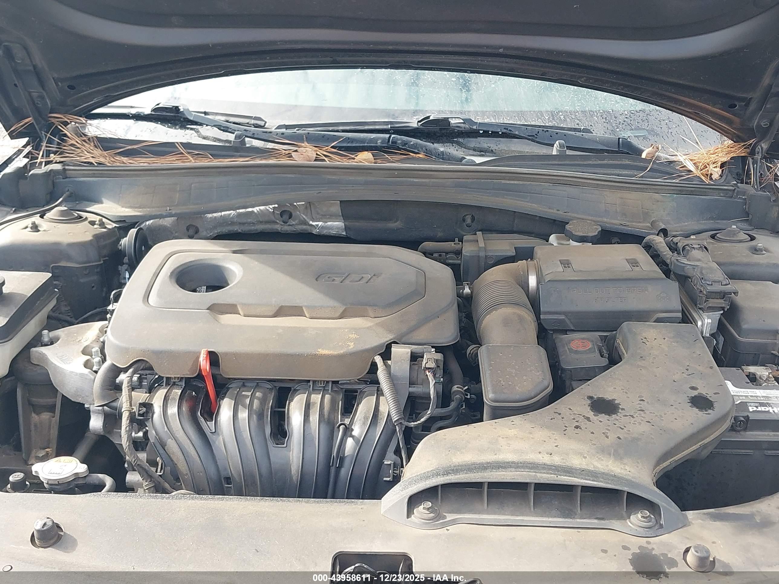 KIA OPTIMA image 10