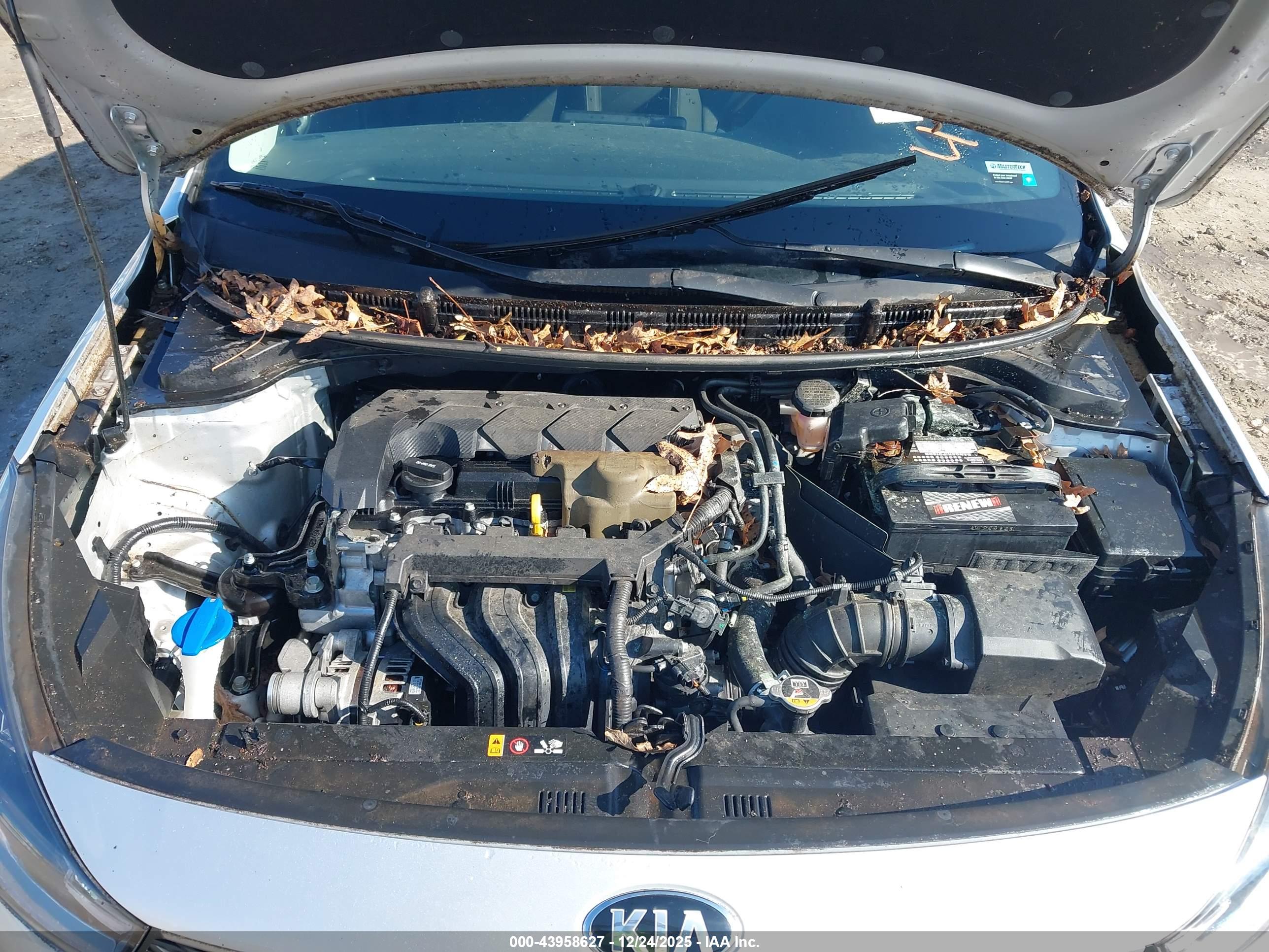KIA RIO image 10