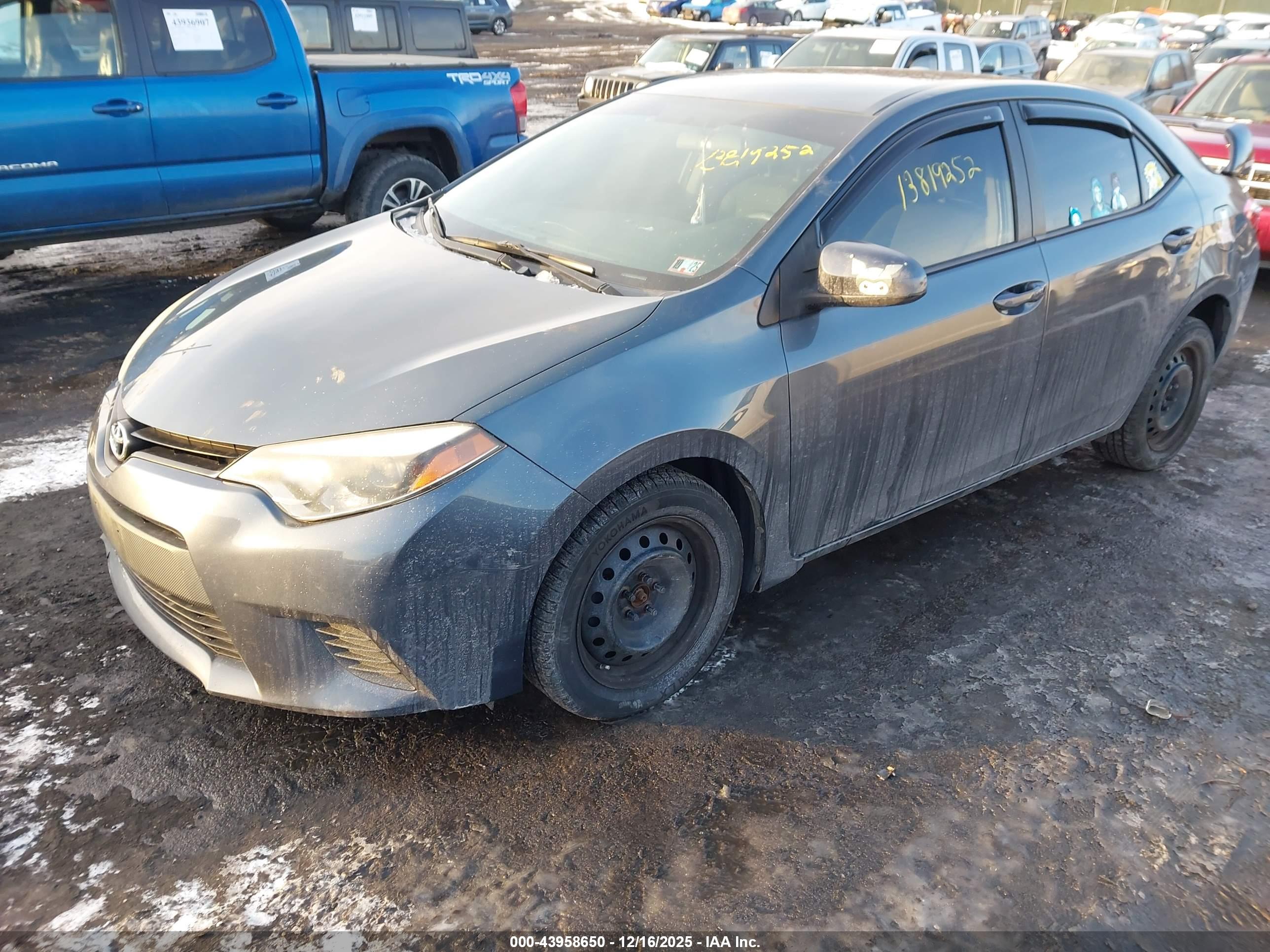 TOYOTA COROLLA image 2