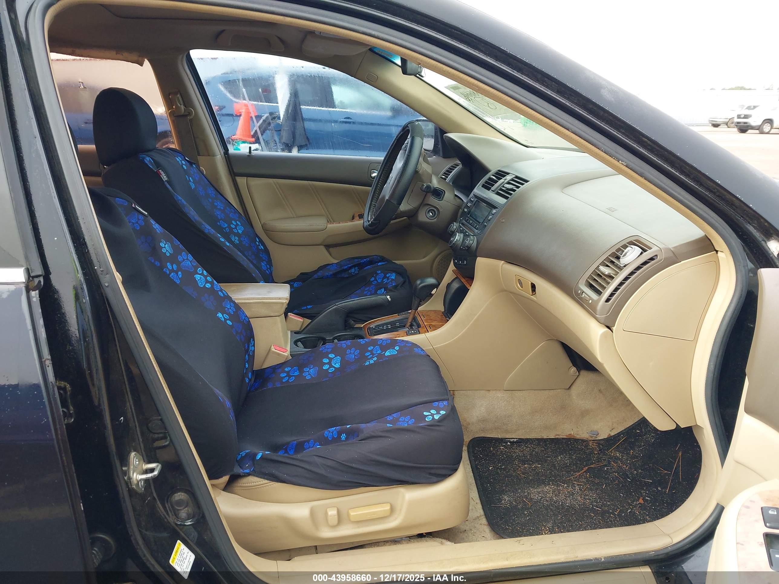 HONDA ACCORD image 5
