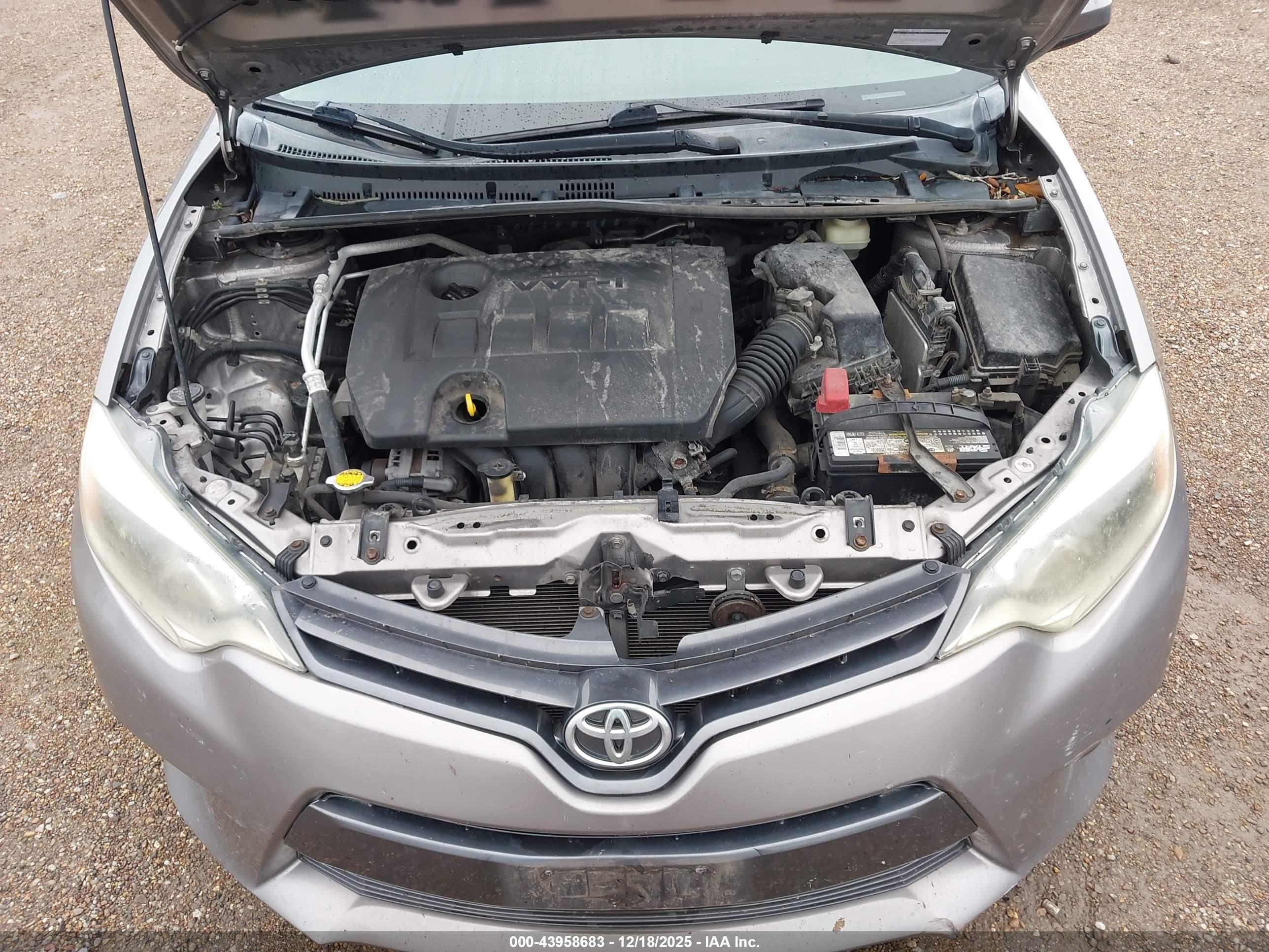 TOYOTA COROLLA image 10