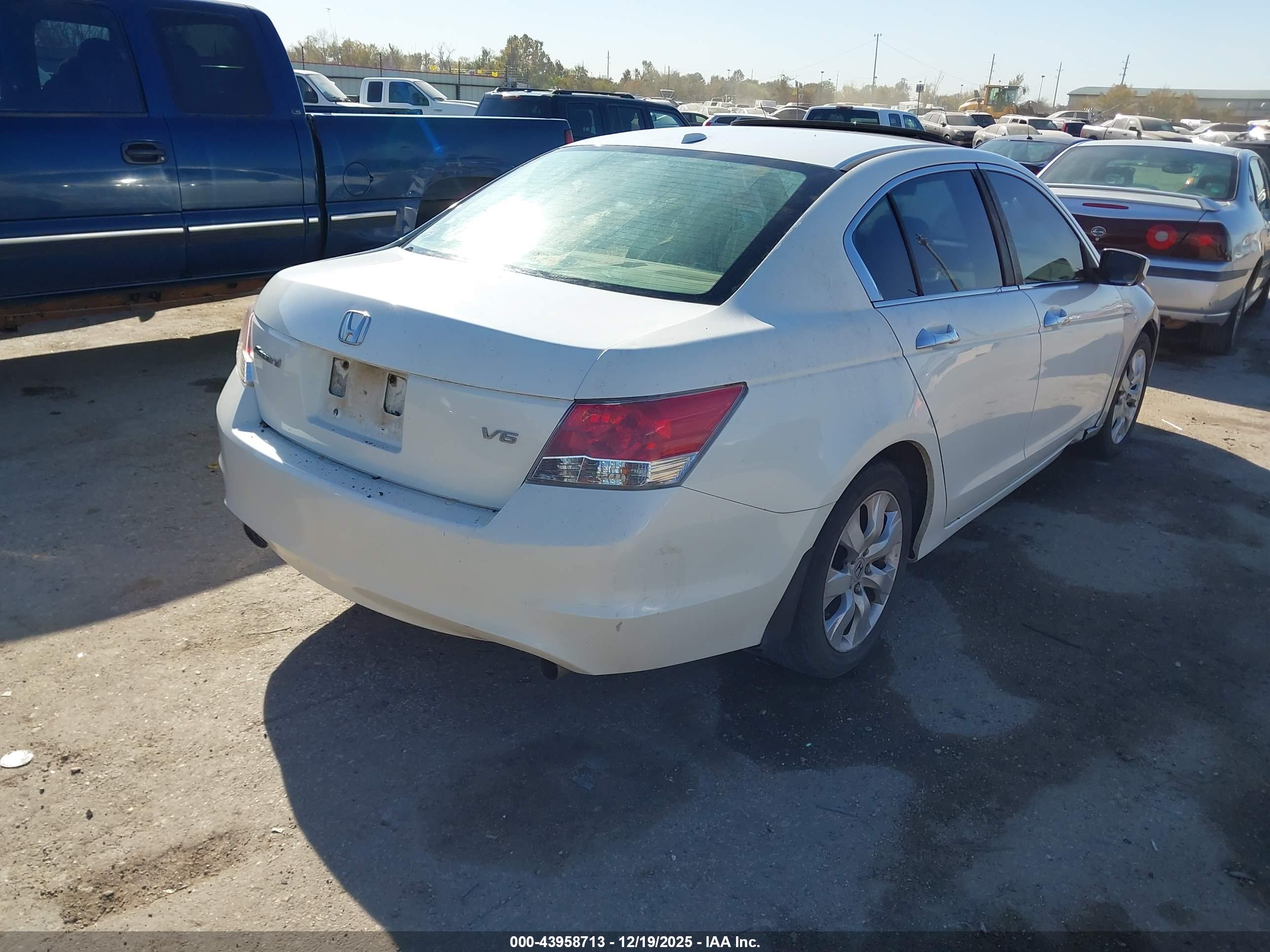 HONDA ACCORD image 4