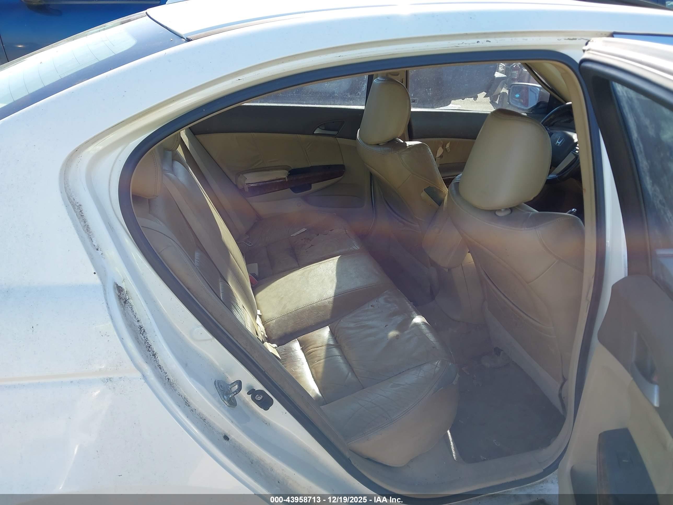 HONDA ACCORD image 8