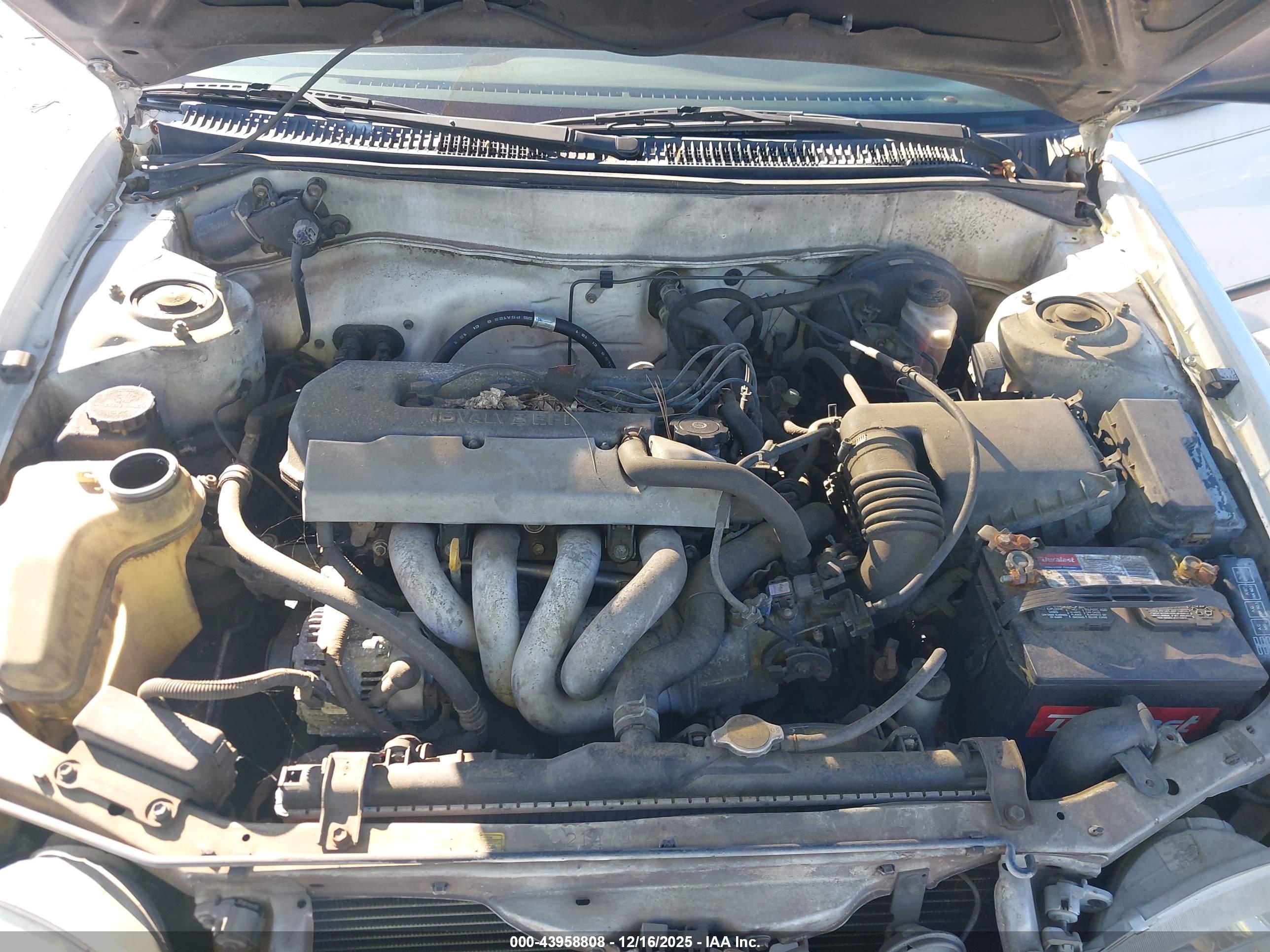 TOYOTA COROLLA image 10