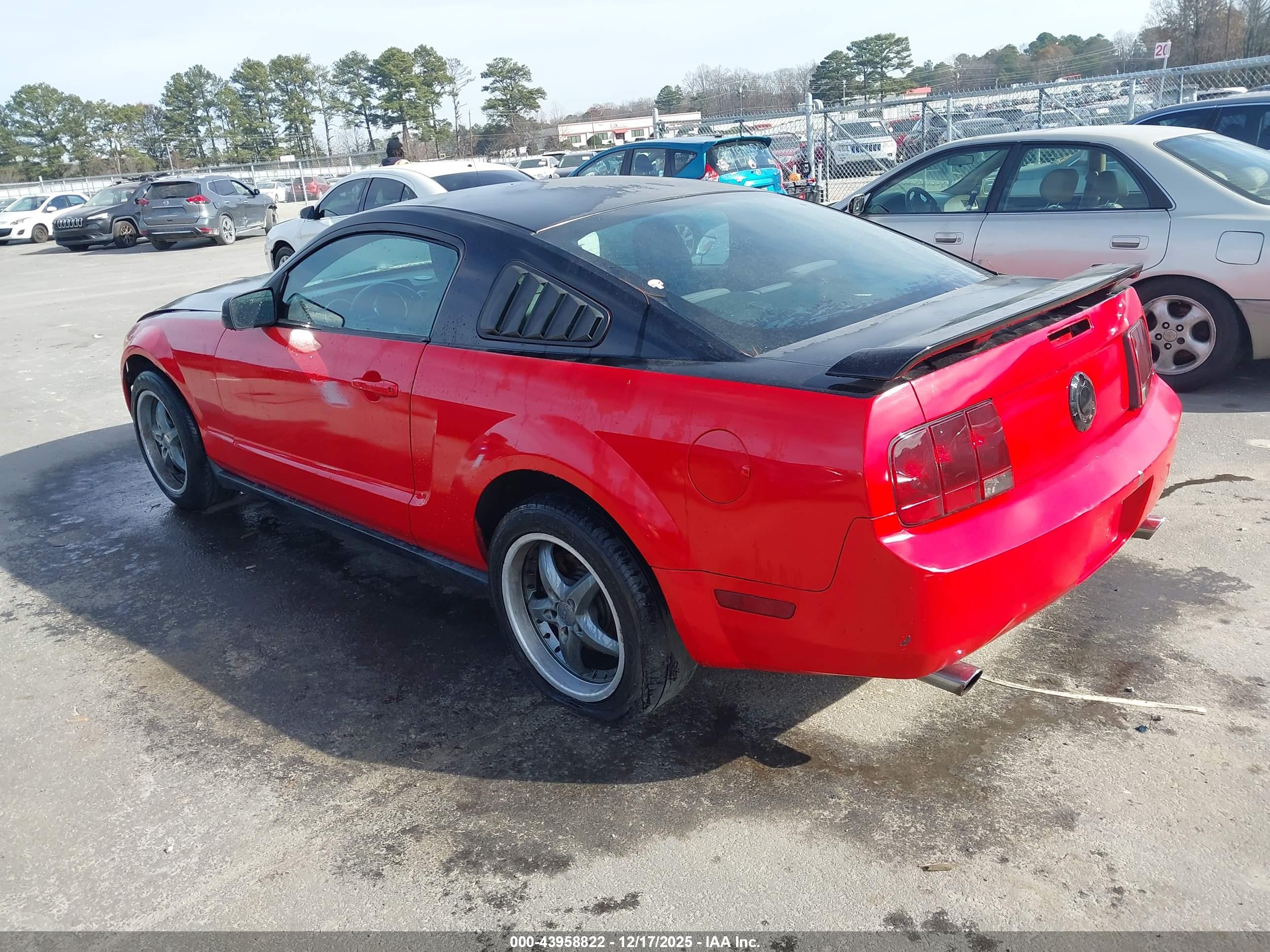 FORD MUSTANG image 3