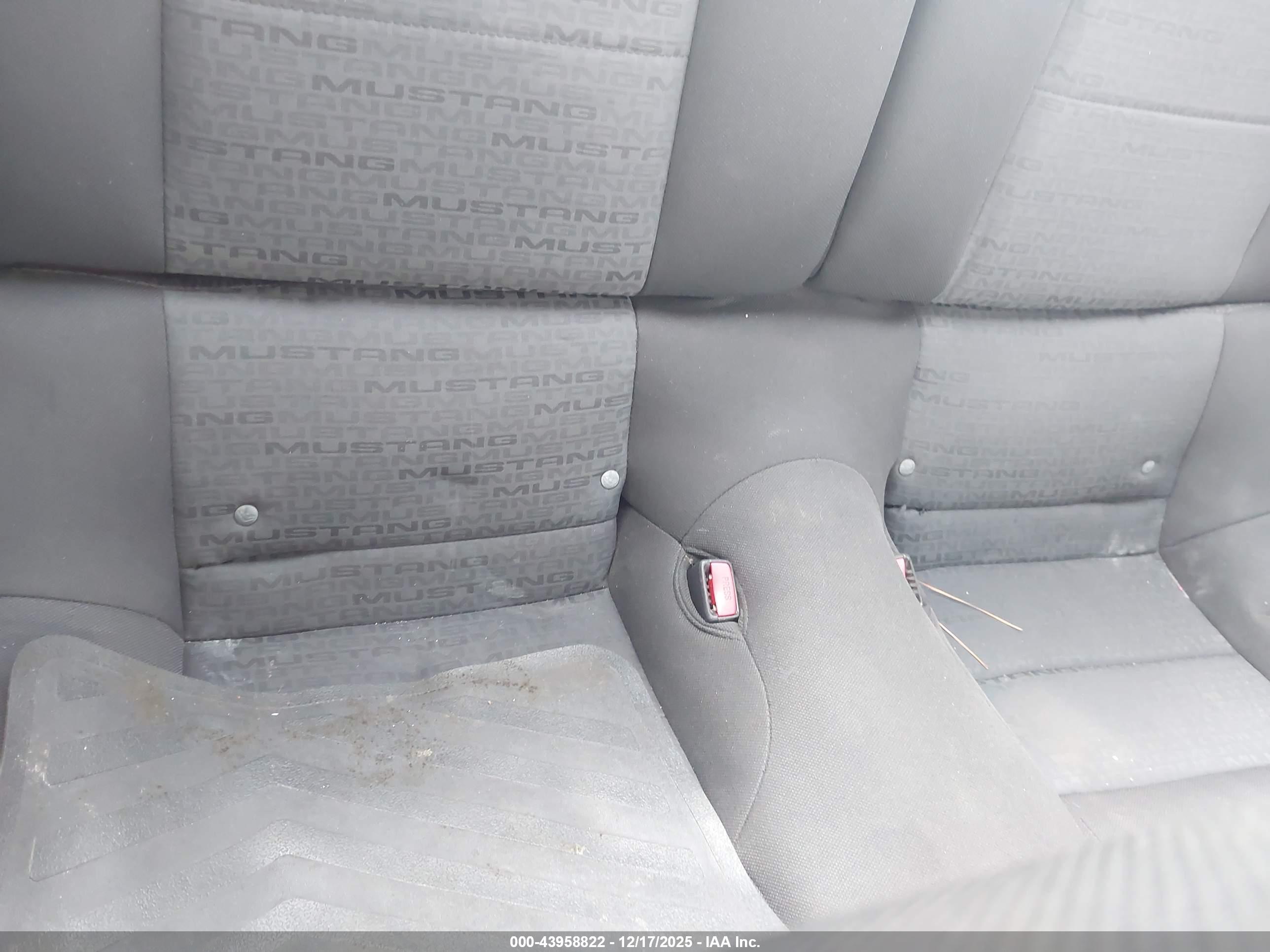FORD MUSTANG image 8