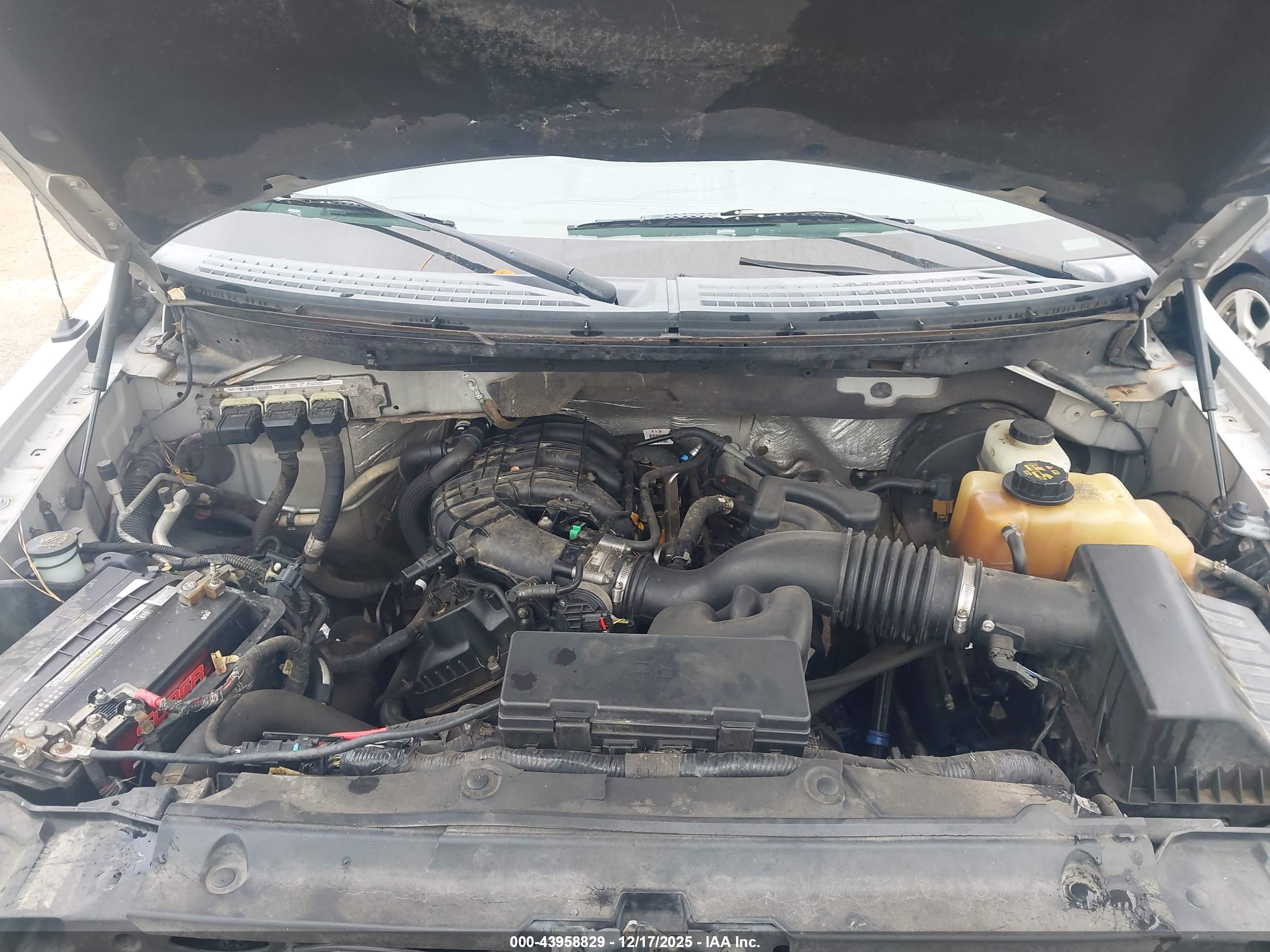 FORD F-150 image 10