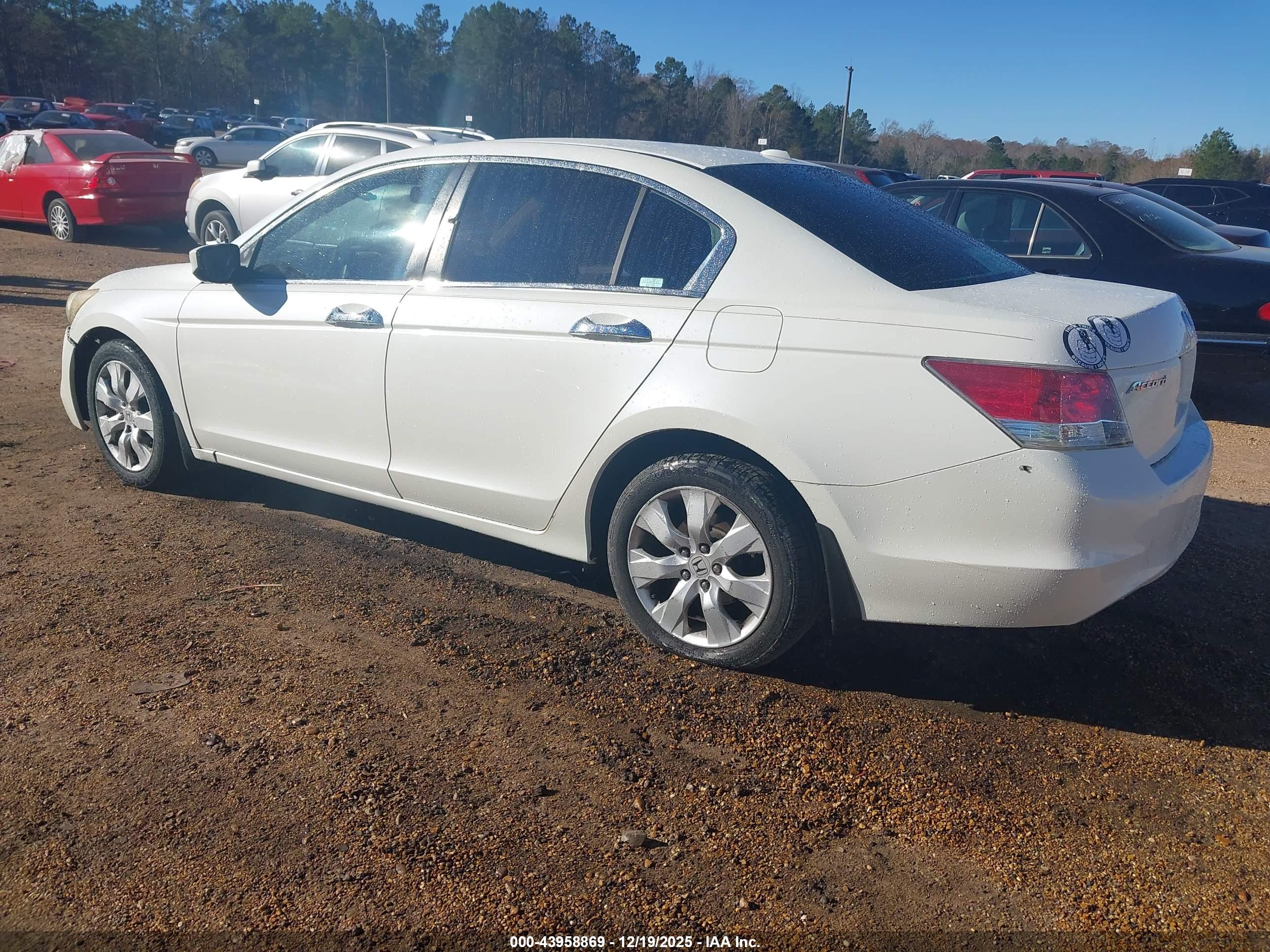 HONDA ACCORD image 3