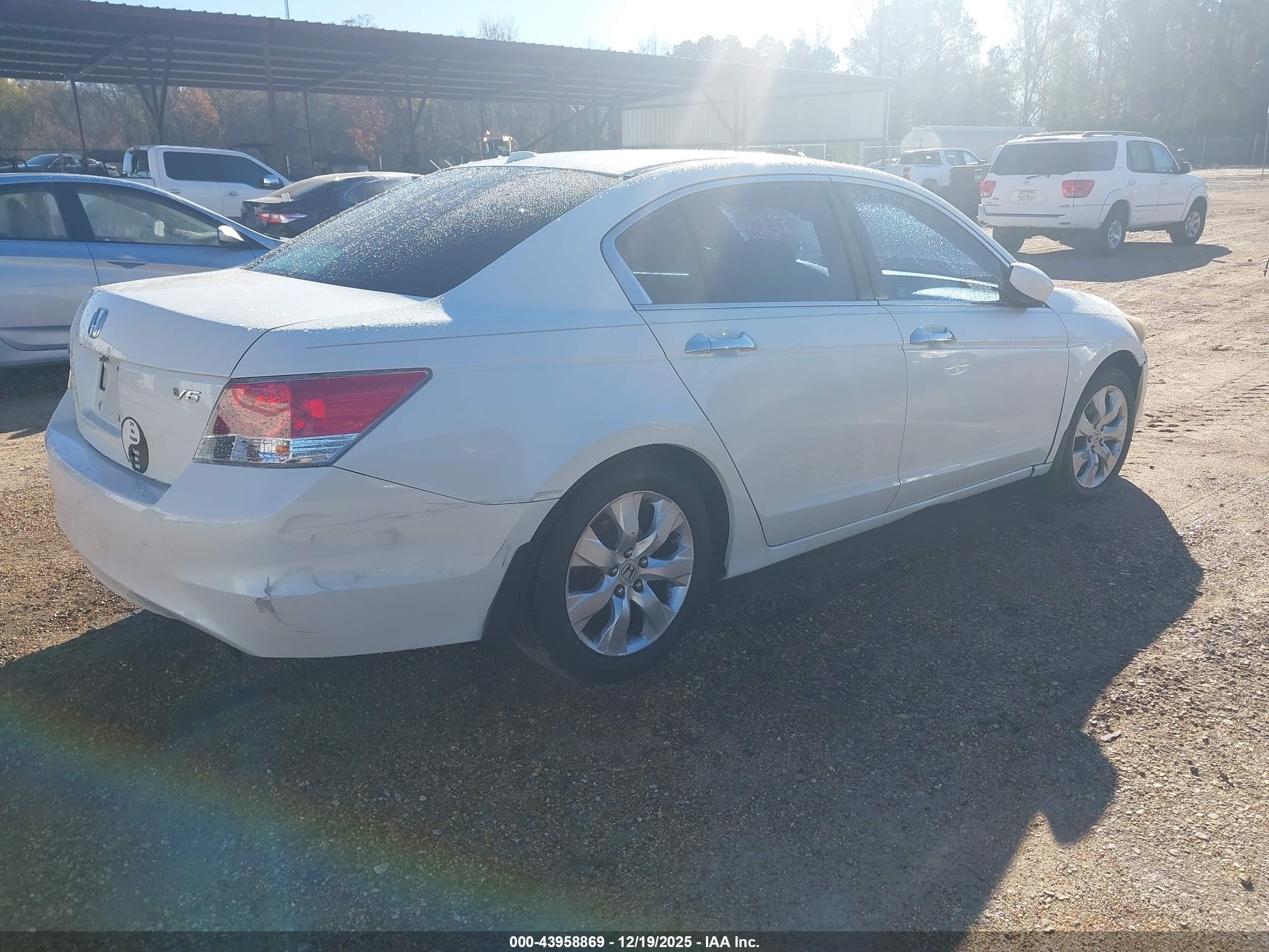 HONDA ACCORD image 4