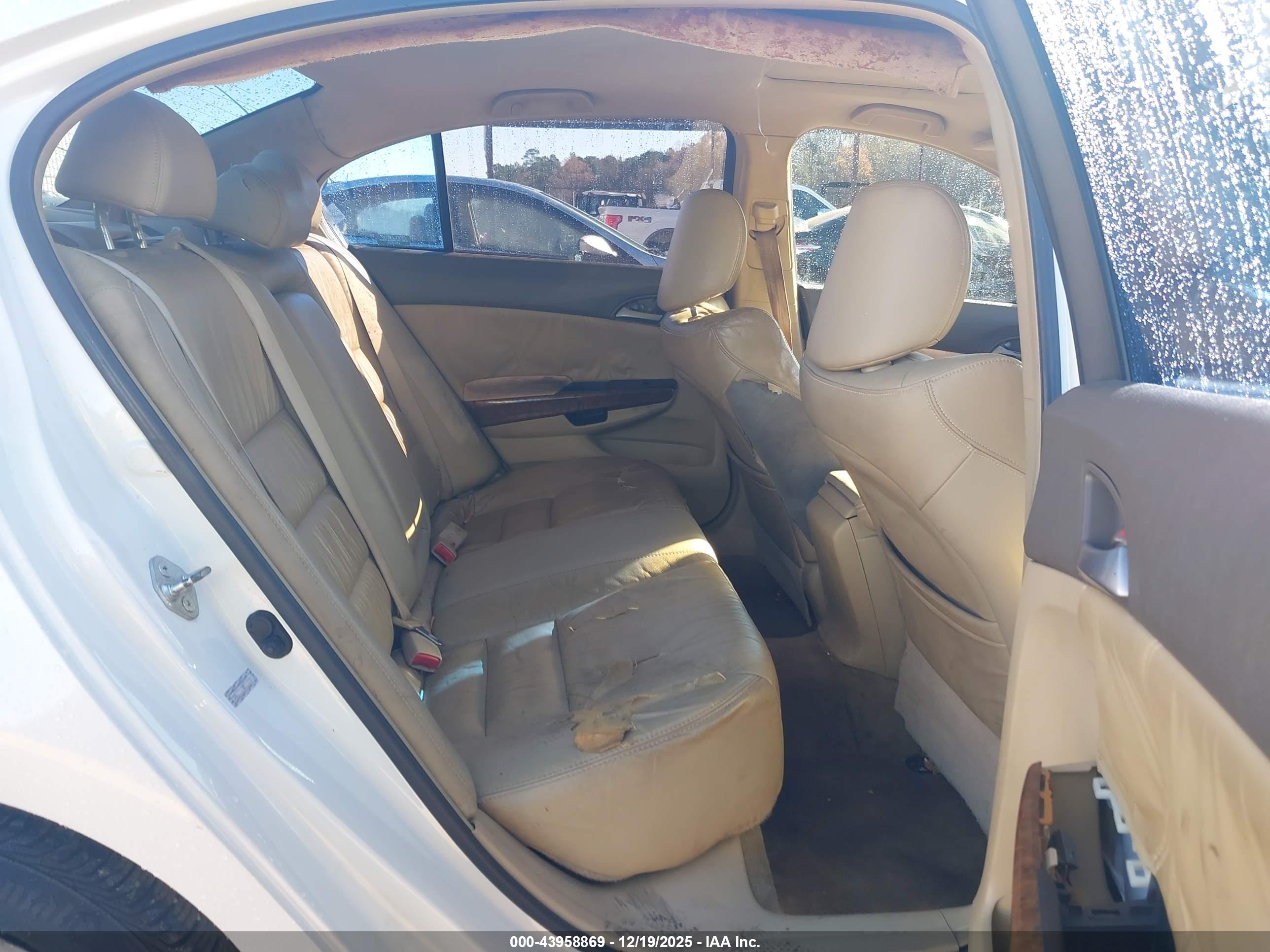 HONDA ACCORD image 8