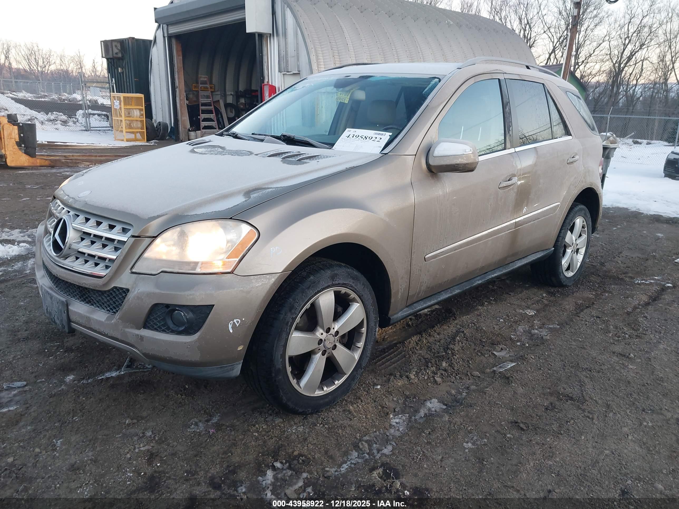 MERCEDES-BENZ ML image 2