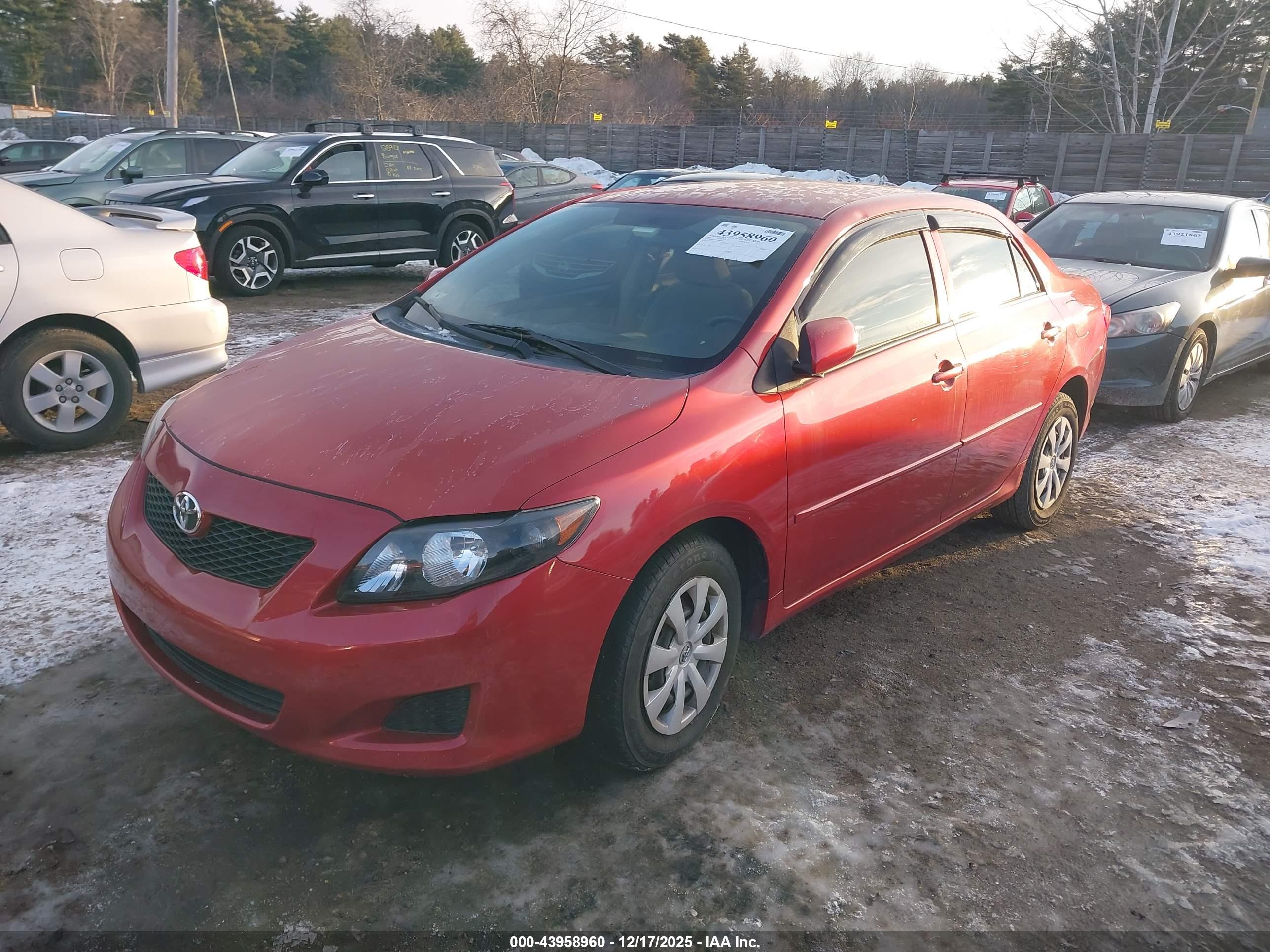 TOYOTA COROLLA image 2