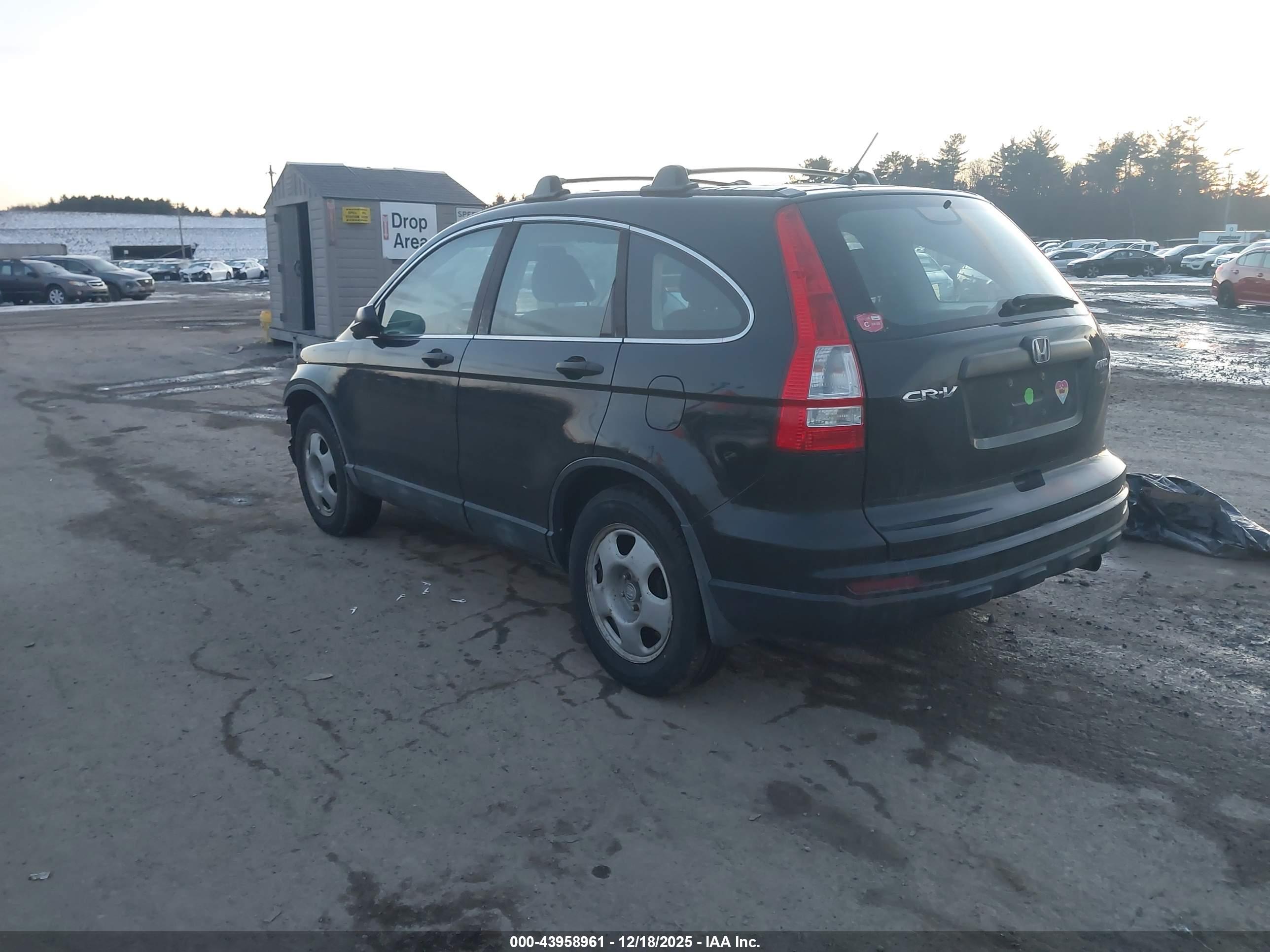 HONDA CR-V image 3