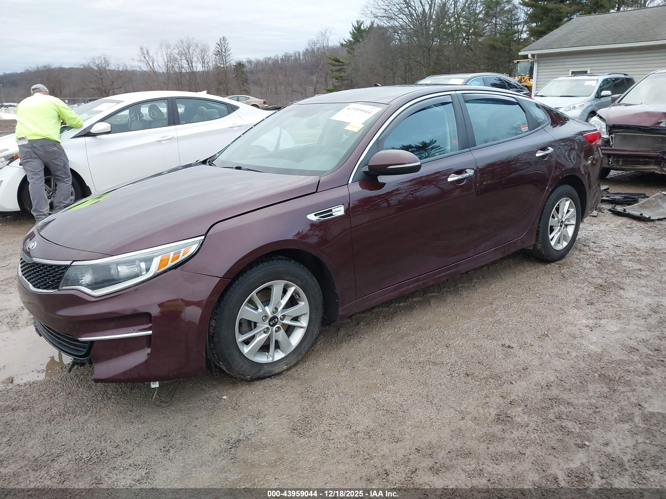 KIA OPTIMA image 2