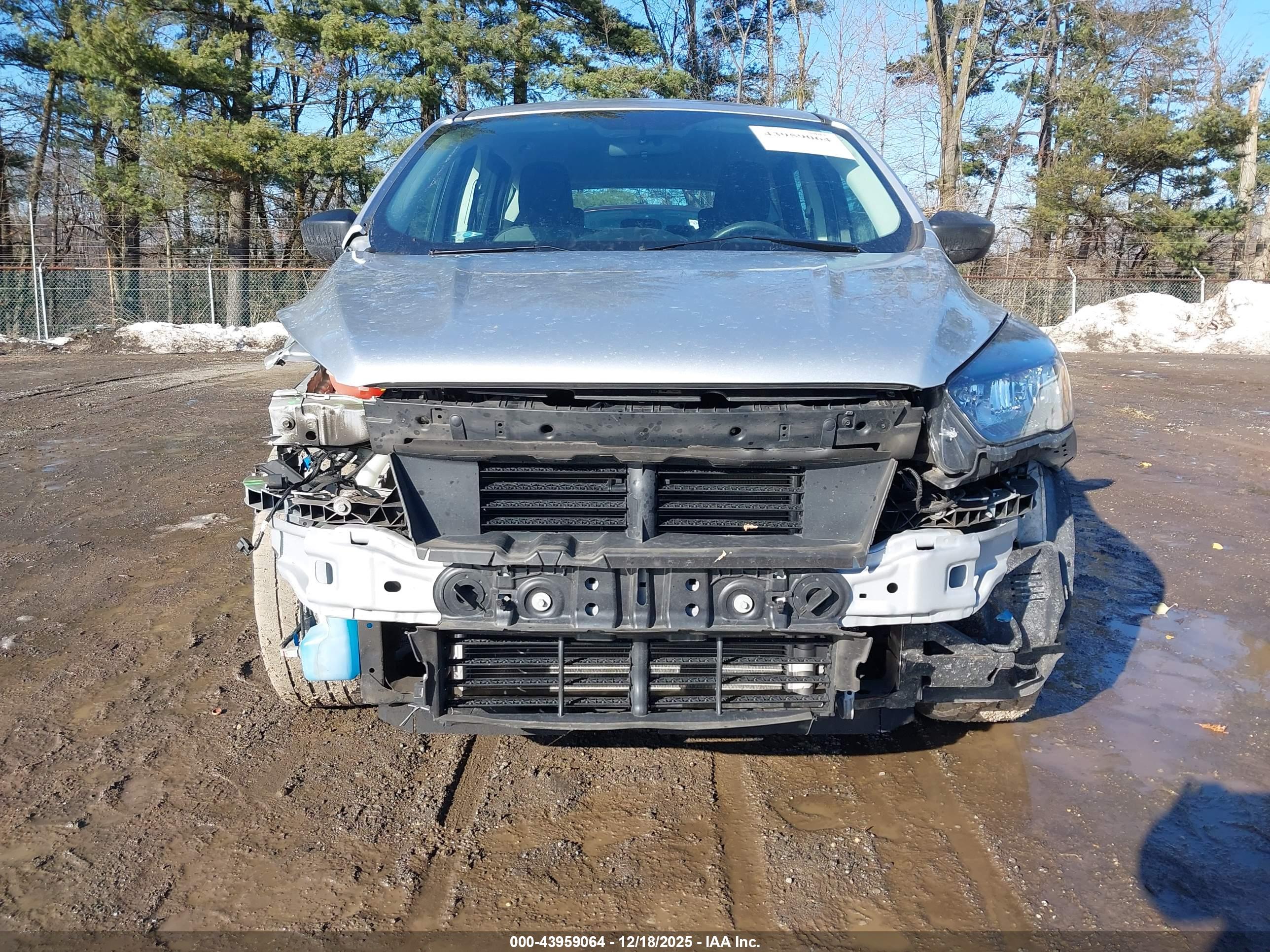 FORD ESCAPE image 6